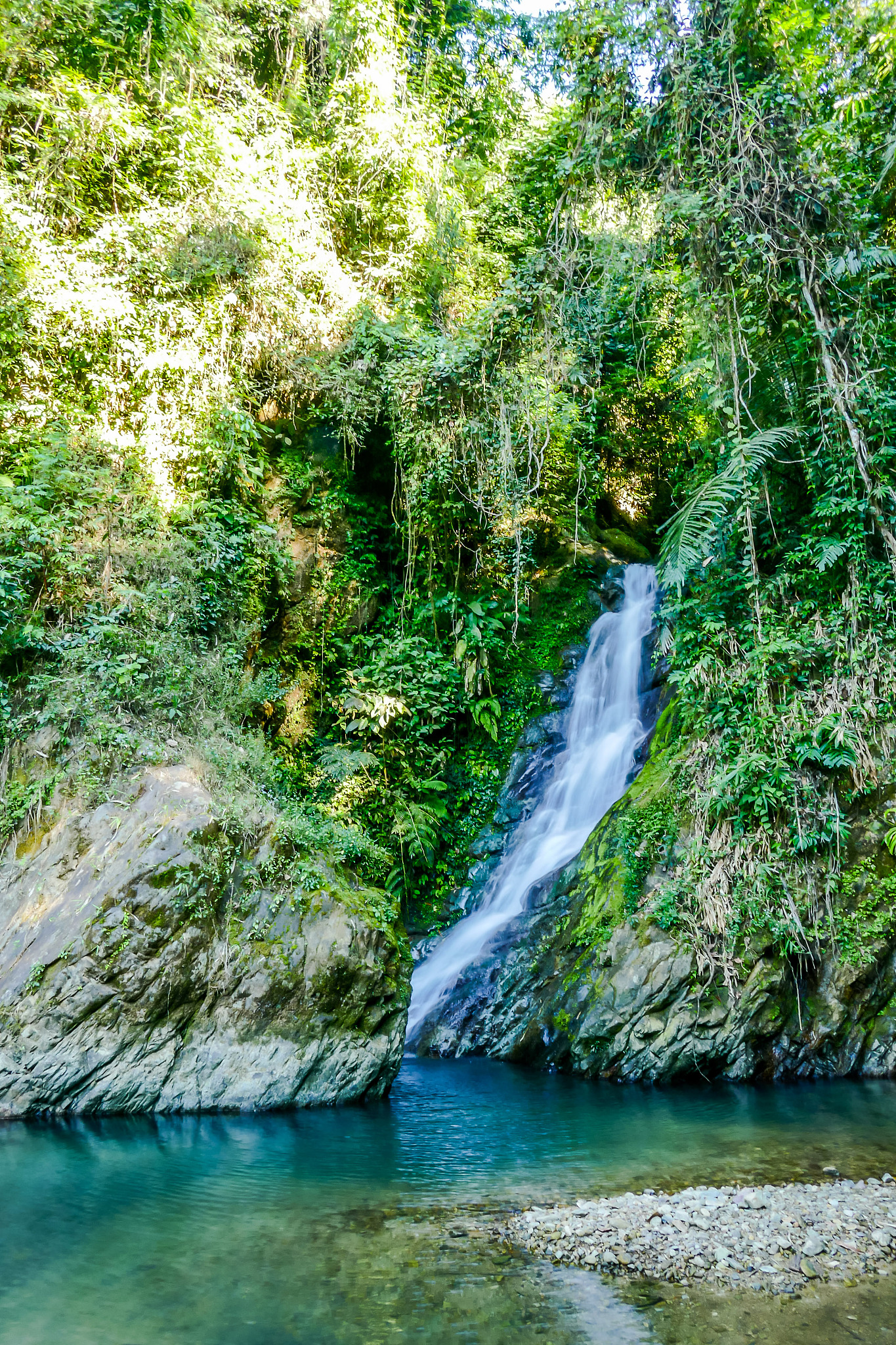 waterfall in deep forest, digital photo picture as a background