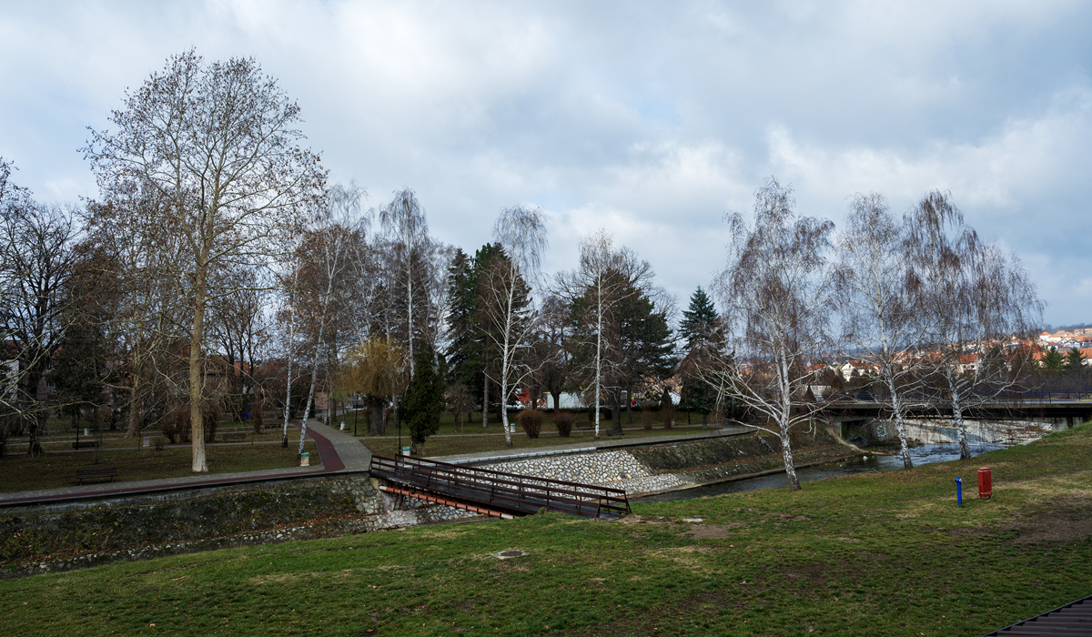 分享一些健康知识和生活技巧