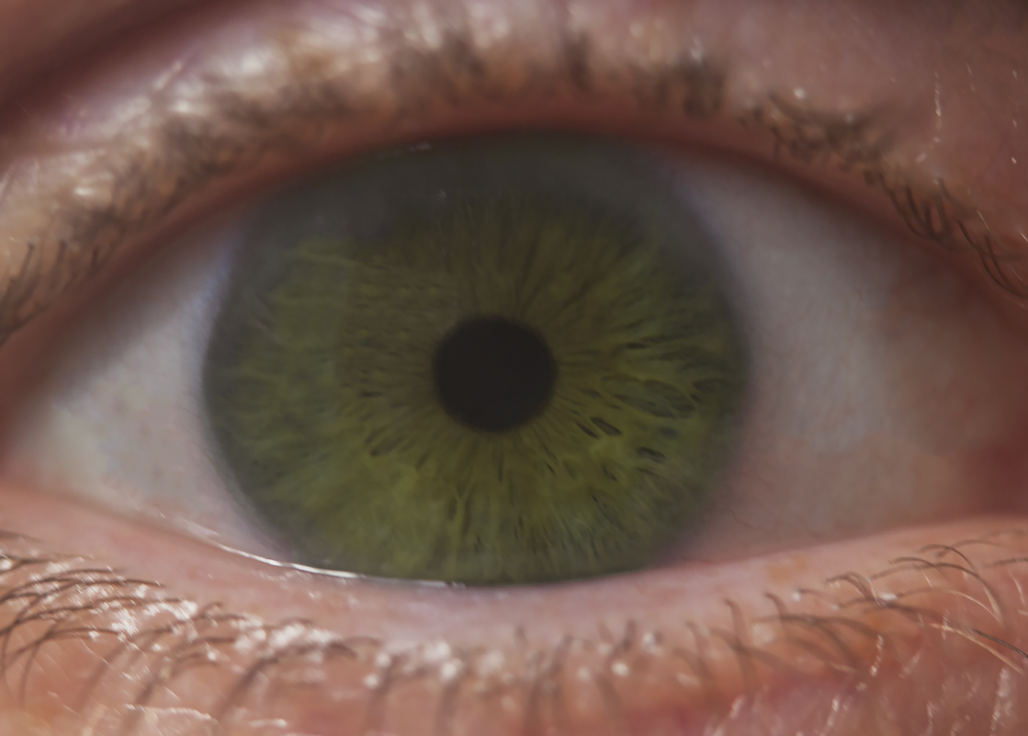 women's green eye