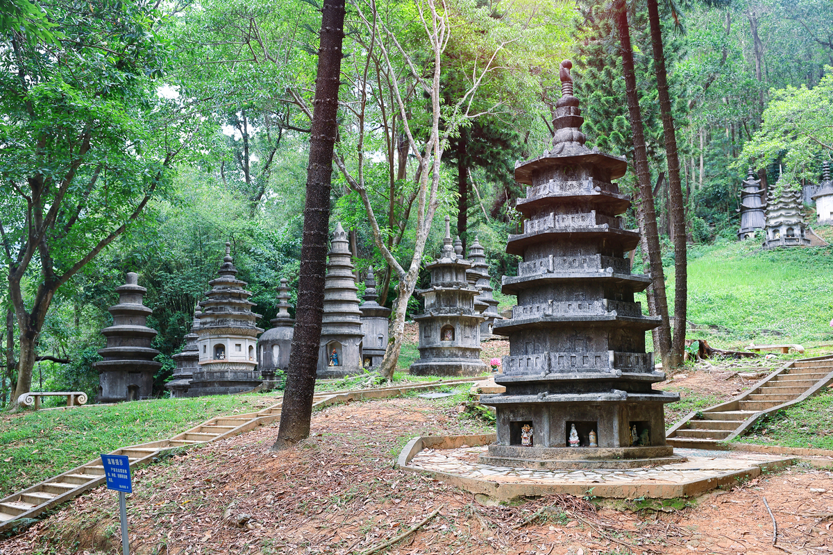 西安大兴善寺：历史文化与现代体验的交汇