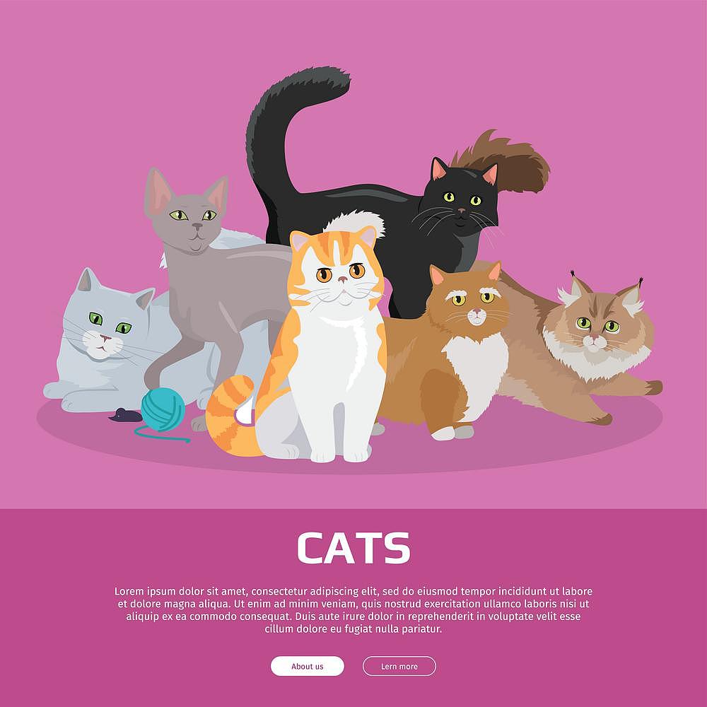 Whiskers the Cat and the Digital Art Course: A Short Story