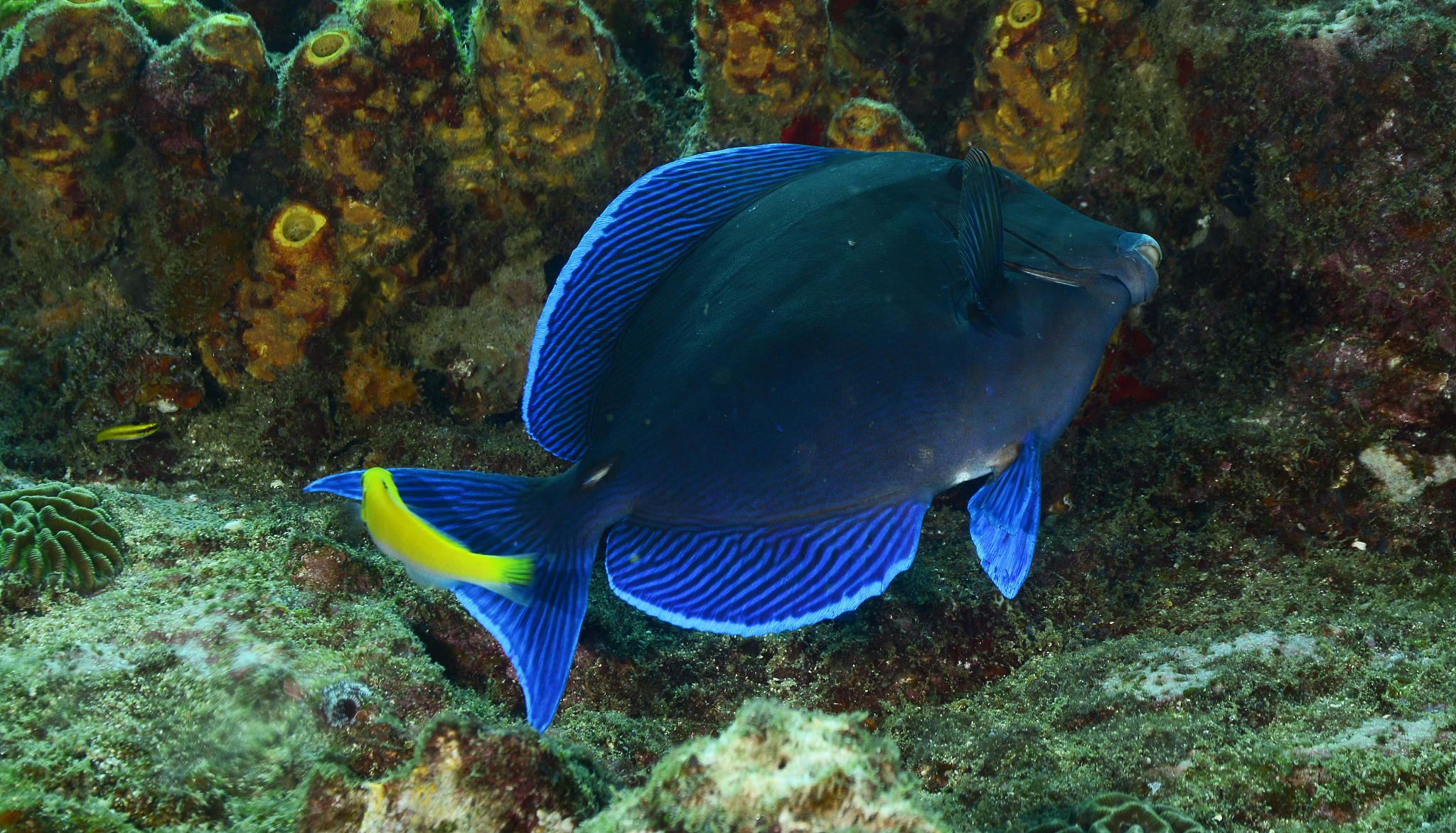 开县巨龙中等职业技术学校特种动物养殖专业怎么样？教学质量、师资、就业前景全解析