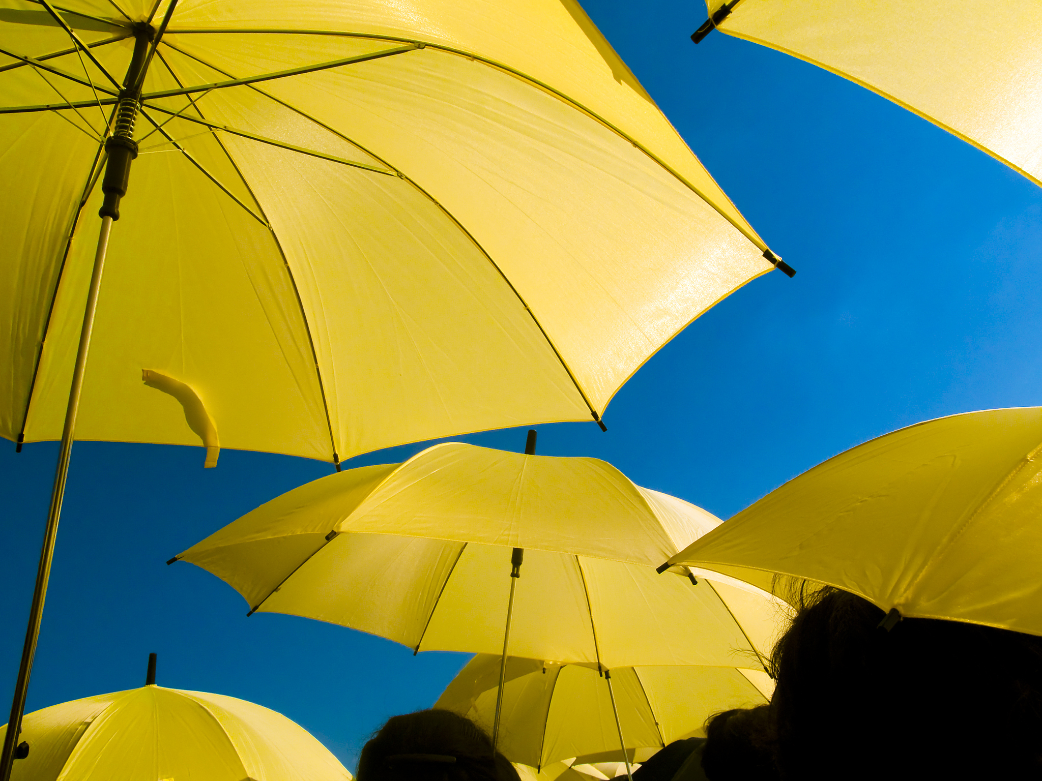 yellow umbrella