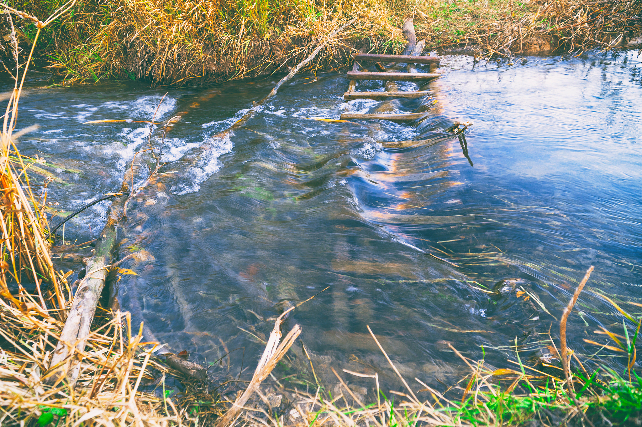water flows in a small river