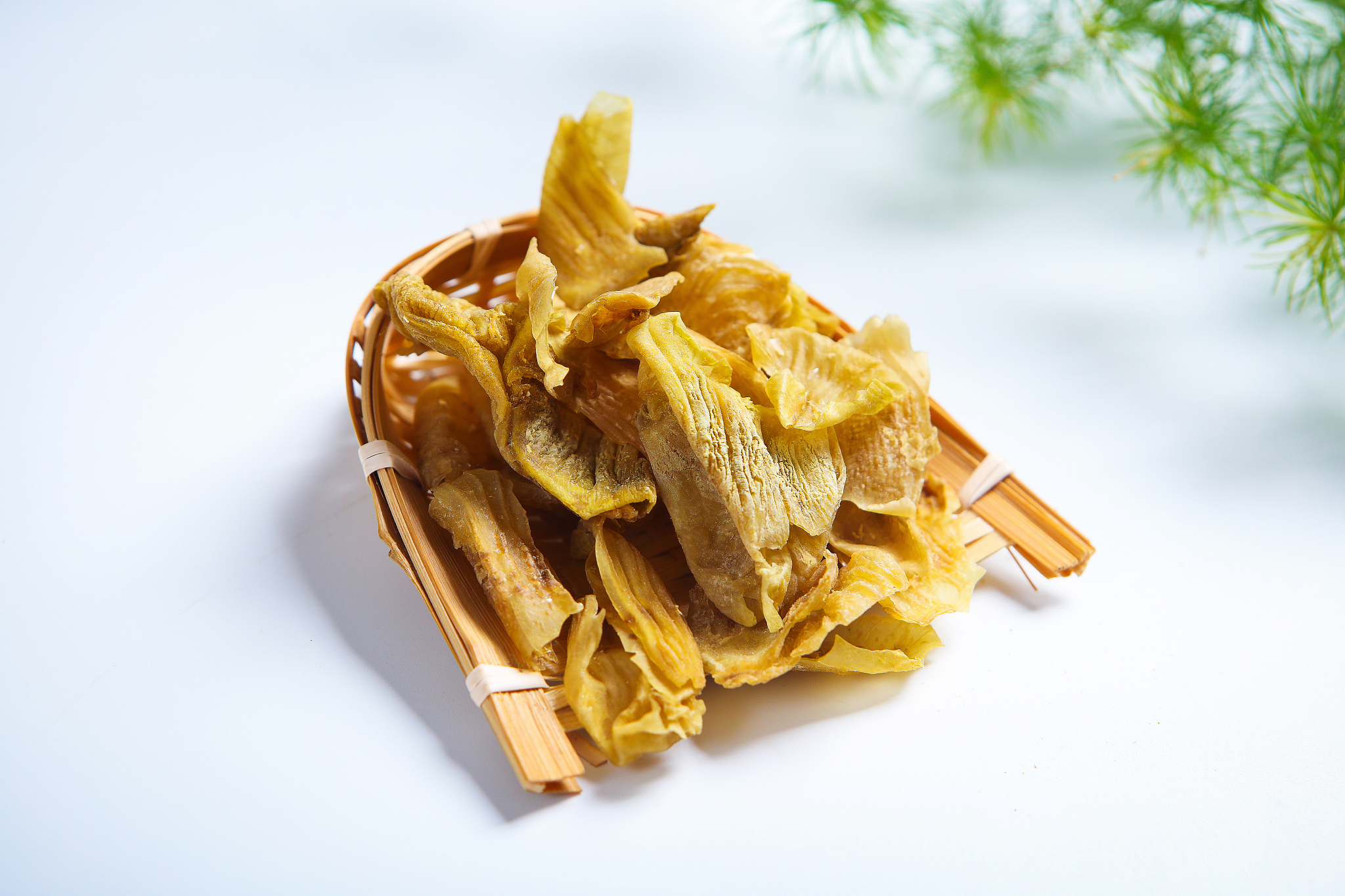 江西中医药高等专科学校医疗保险实务专业：就业前景广阔，发展潜力巨大