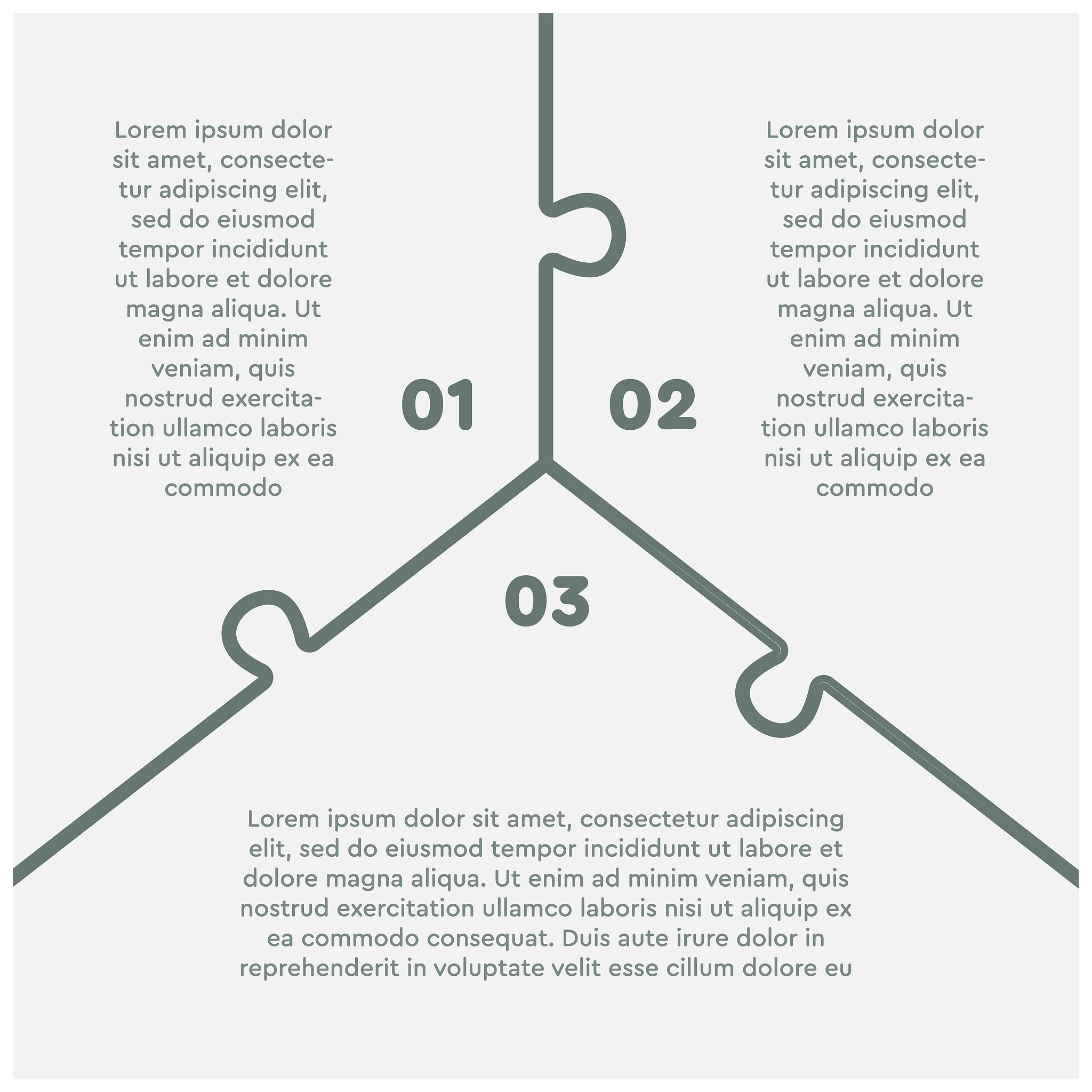 External Fixation: A Versatile Tool for Orthopedic Correction