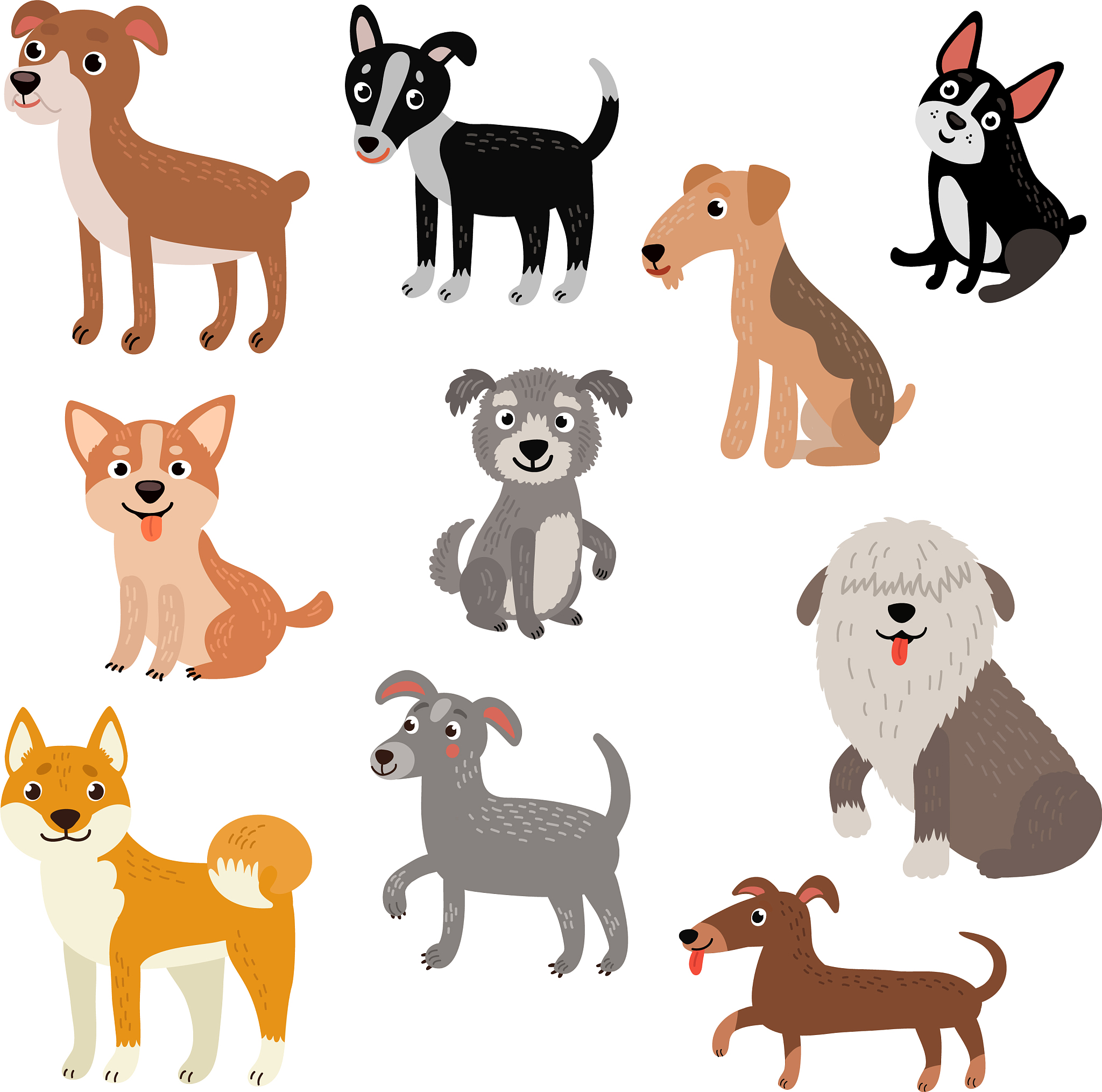 Write about whatever you like! in grade seven language in one paragraph