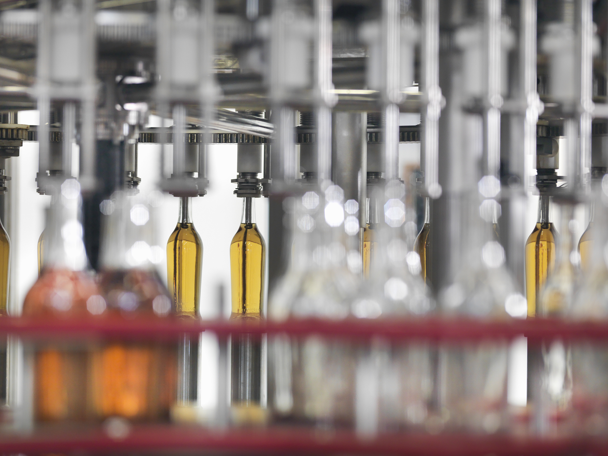 酿酒工程专业学什么的 有哪些课程