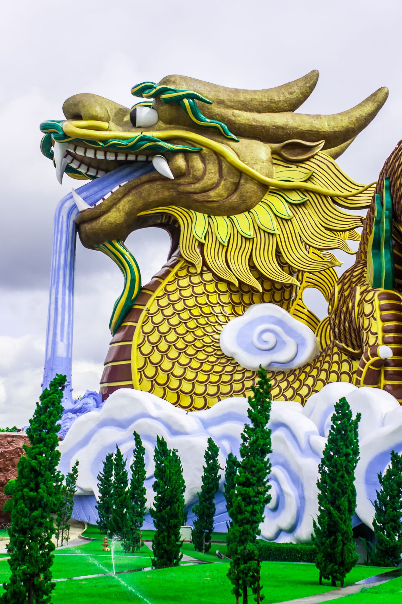 dragon