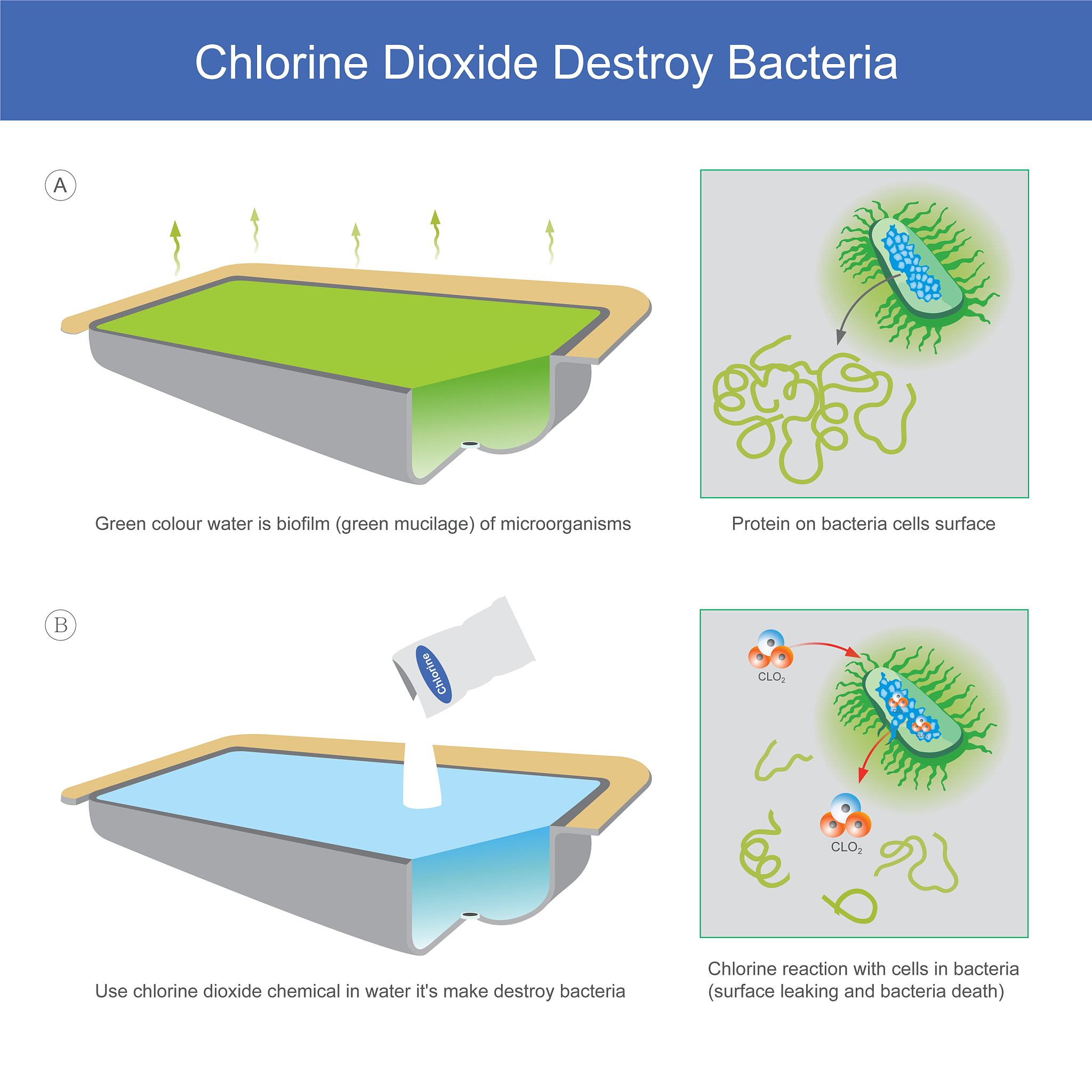 扩写文章水凝胶是一种软材料由高分子聚合物网络和水分子构成具有高含水量和大孔隙率等生物组织类似的特点因此在生物工程和医药领域具有广泛的应用前景。传统的自由基聚合合成水凝胶在强度和韧性上远不如生物软组织制约了其在承力型生物材料中的应用。近年来通过设计制备多种不同的高强韧水凝胶体系如双网络水凝胶、拓扑水凝胶、纳米复合水凝胶、tetra-PEG水凝胶、金属配位交联水凝胶等已经达到了生物软组织替代的要求广泛