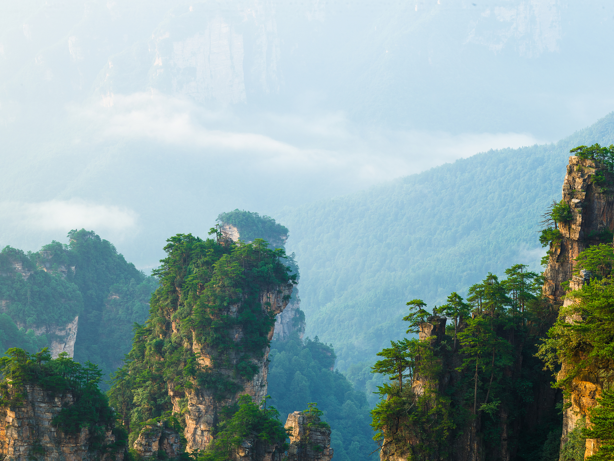 张家界曝光求助平台大全：解决问题的最佳途径