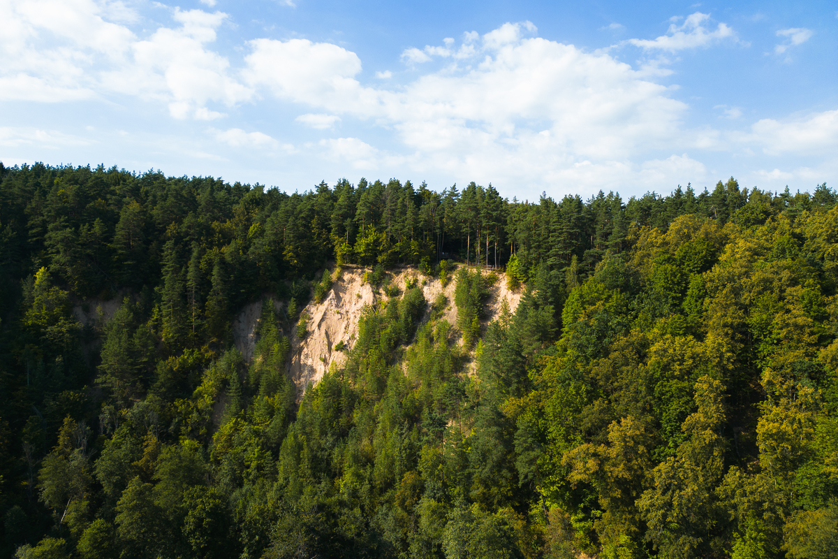尚志市帽儿山实验林场研究区域概况 - 黑龙江省最大实验林场