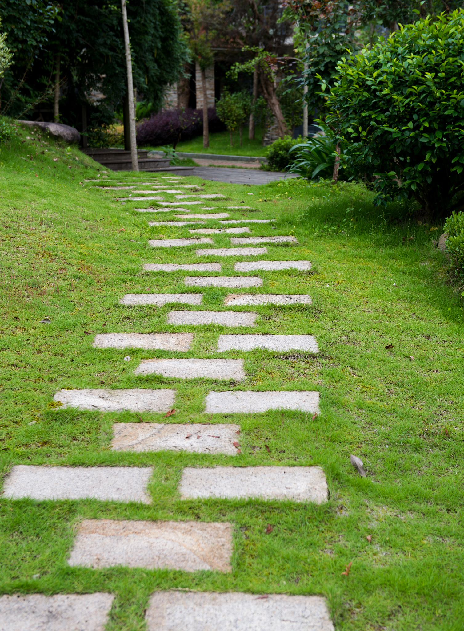 学校小路名字大全：用'关心下一代'的角度起名