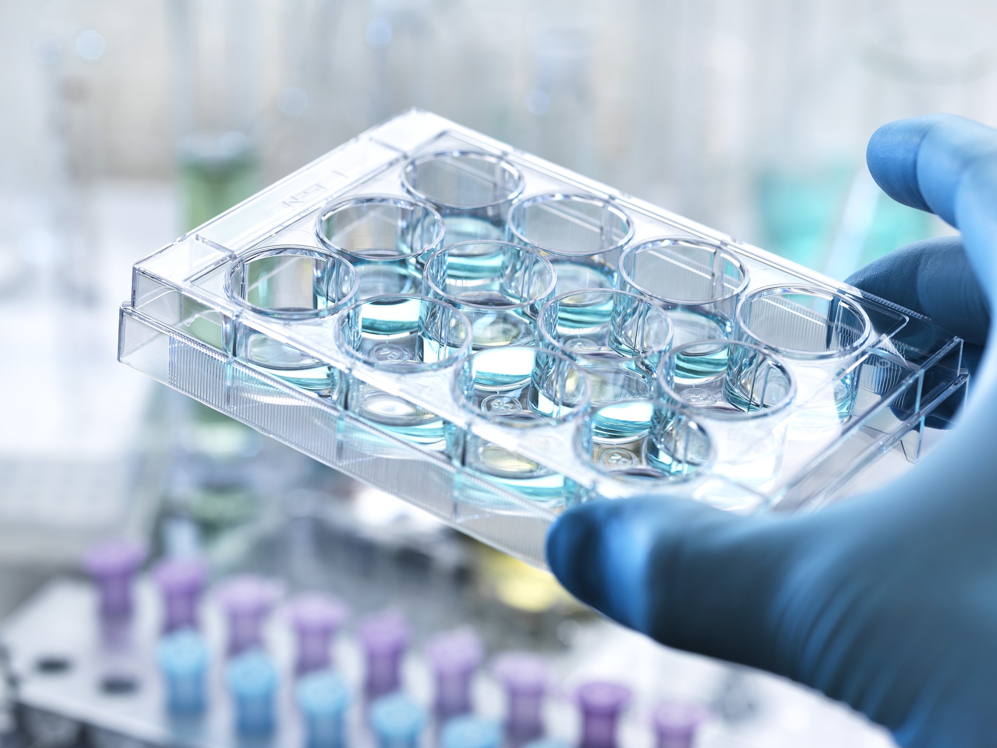 对以下文字进行改写润色保证语句通顺含义正确：酶类：DNA限制性内切酶购买于Famentas公司、NEB或者TaKaRa公司；T4-DNA连接酶购买于Famentas公司；Taq DNA聚合酶、RNaseA购买自TaKaRa公司、崩溃酶。药品类：常用的NaCl、EDTA、KOH、葡萄糖、酒石酸铵、甲醇、氯仿、冰醋酸、乙醇、EMS溶液等固体和液体药品购买自北京化学试剂公司、国药化学集团试剂有限公司和S