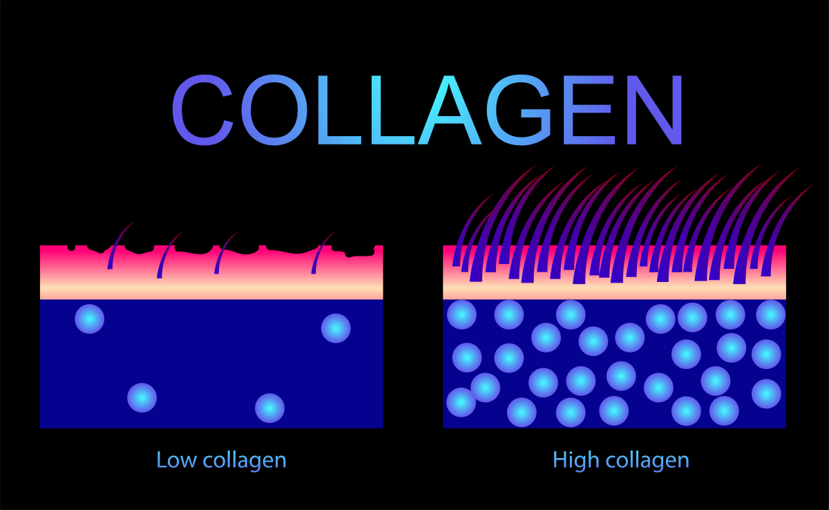 The Truth About Sun Damage to Your Skin: What You Need to Know