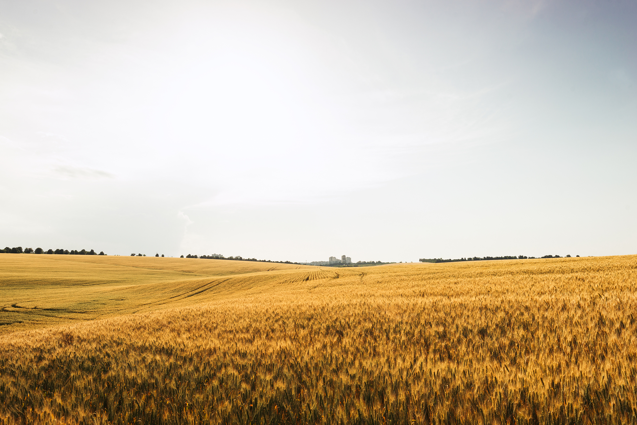 从农业工作类型看秦岭淮河一线是我国什么和什么的分界线