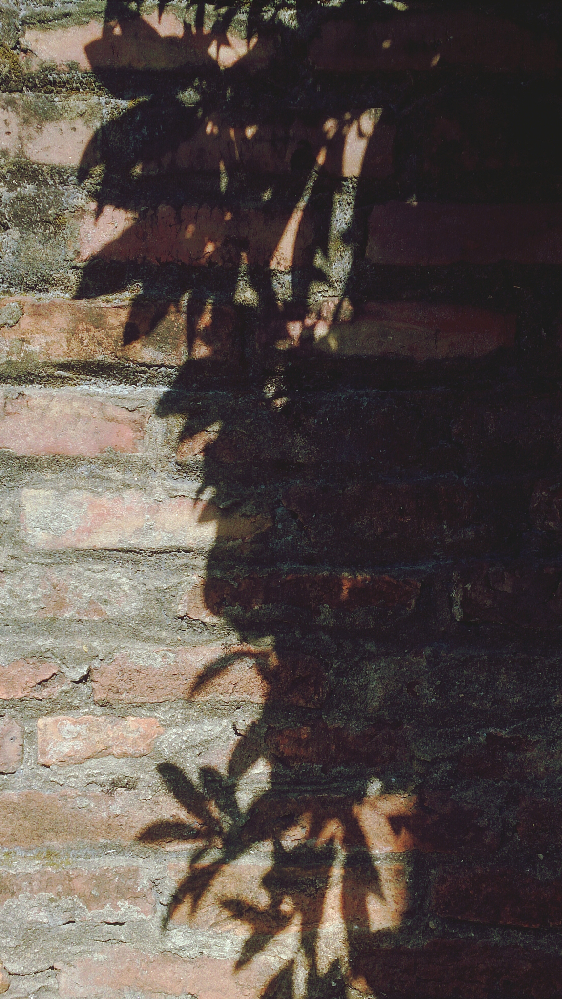 shadow on brick wall