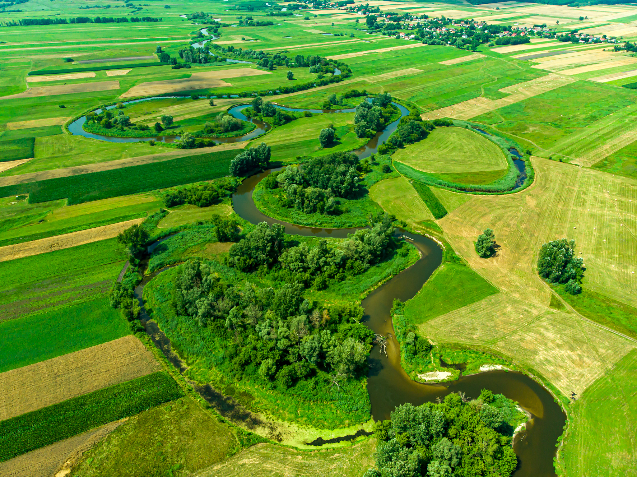 bend of the nida river in poland