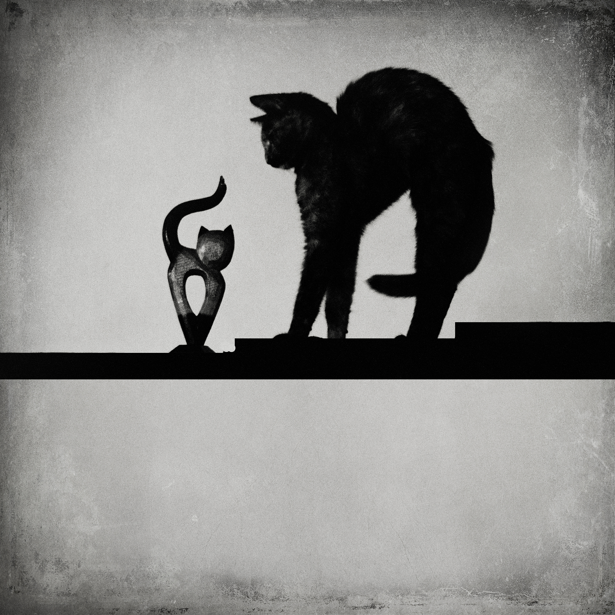 失知意识：了解你的思维过程