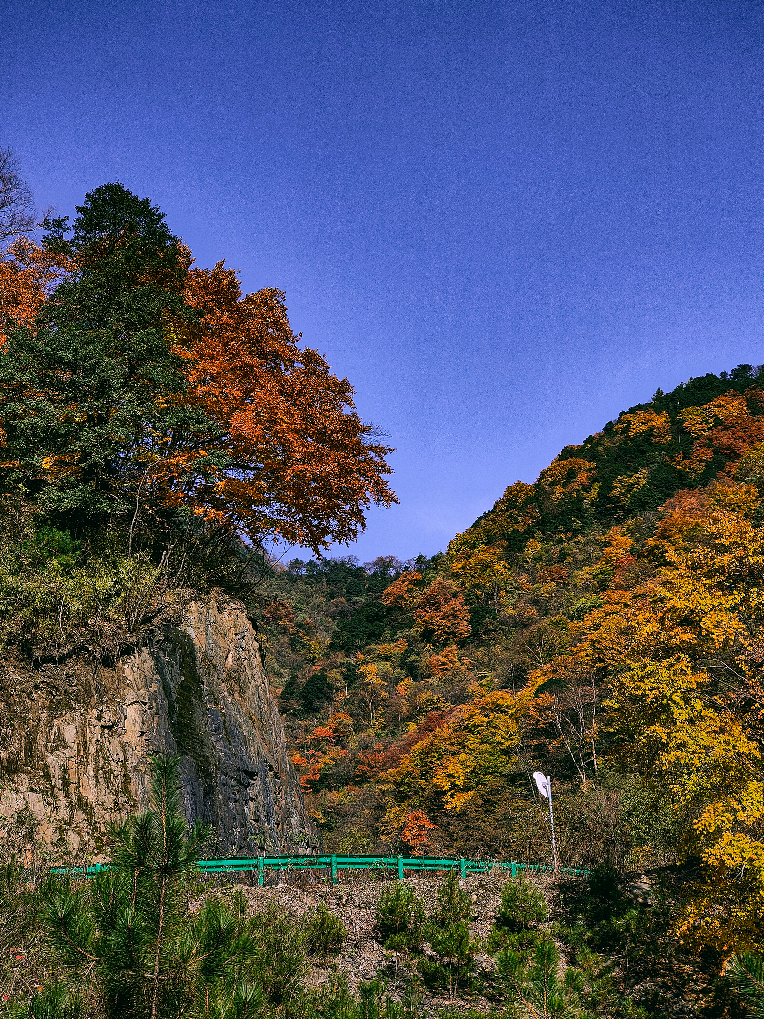 汉中中专学校读什么专业好？就业前景分析