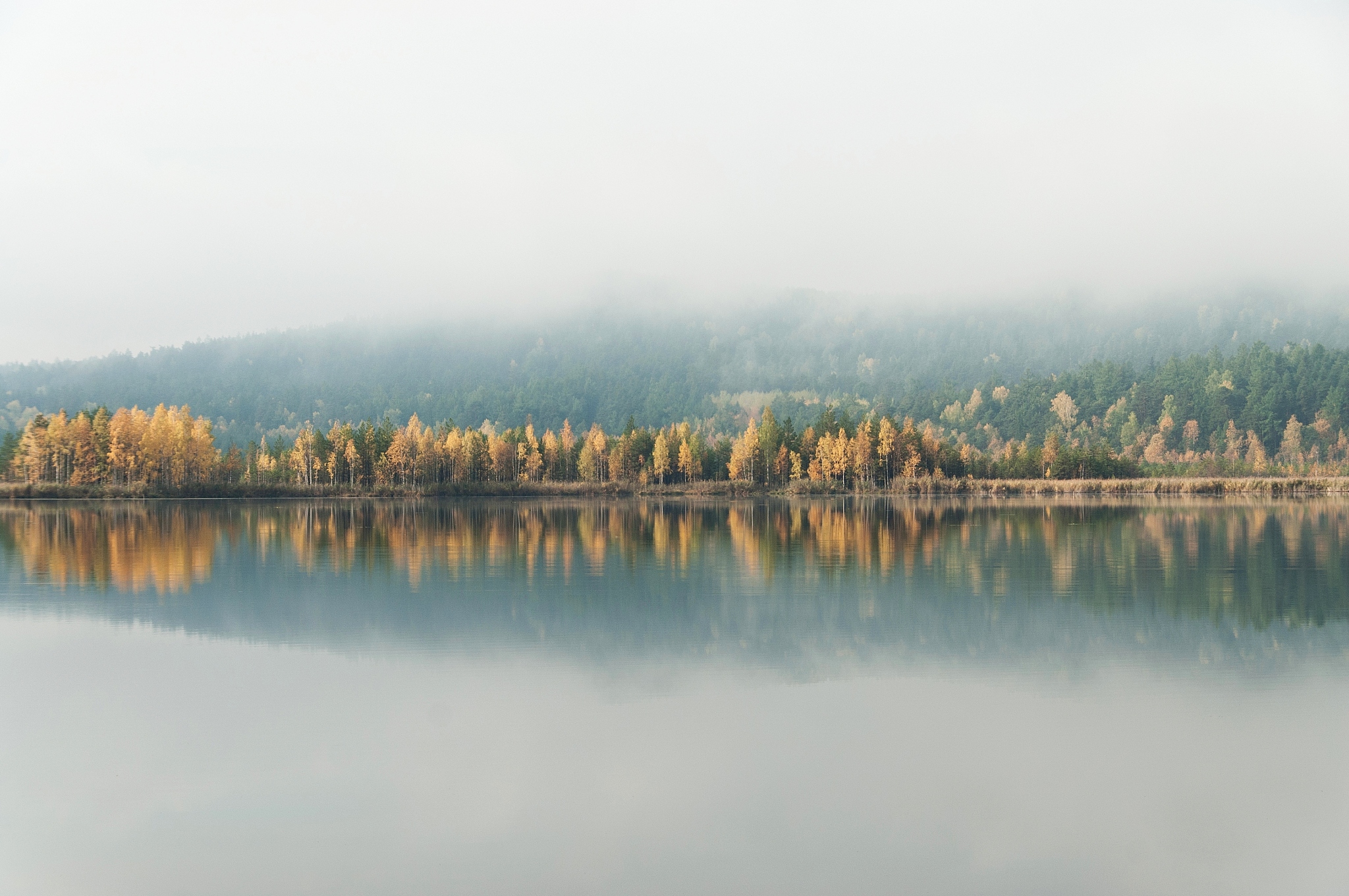 姜平的风光之道的学术书评