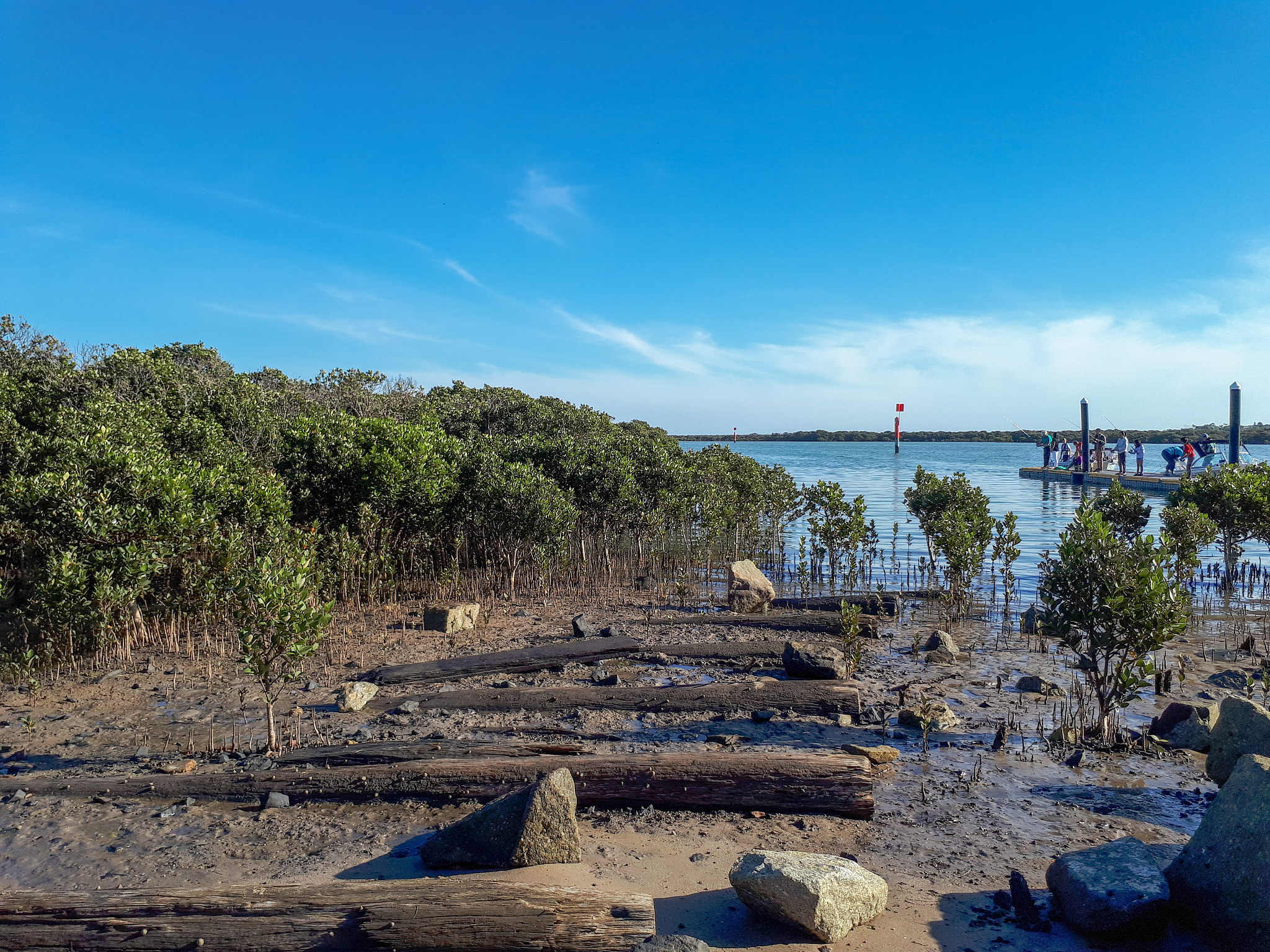 你好要求字数达到2500字通过举例的方式详细描述红树林和阶梯型堤防的消浪功能写一篇研究背景中心内容如下：。而红树林作为植物消浪是研究最多的他的消浪效果好阶梯型堤防作为最好消浪的堤防形式也被人普遍研究故本论文考虑将红树林与阶梯型堤防组合消浪为实际工程提供指导意义。