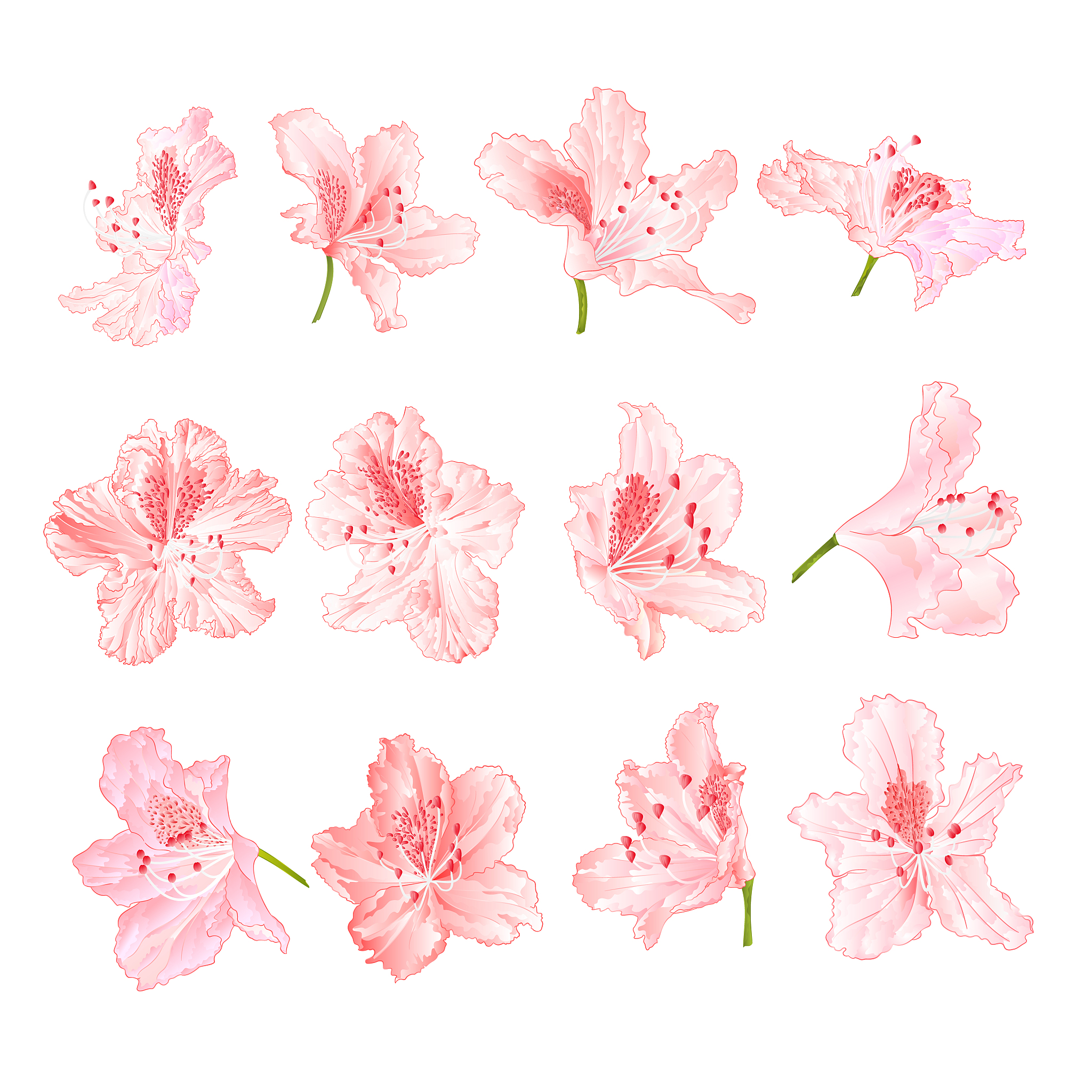 写一个非常详细关于海棠花的ai绘画关键词