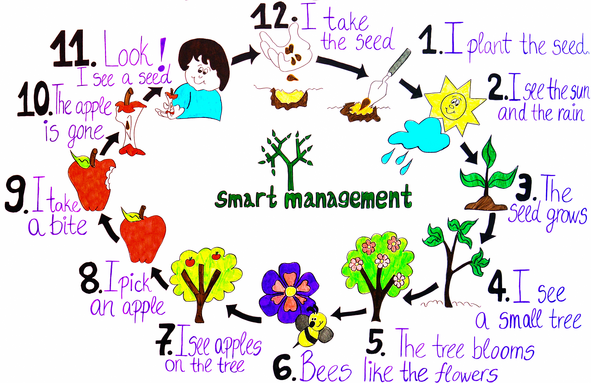 Frontiers in Ecology and the Environment 期刊投稿指南：稿件类型详解