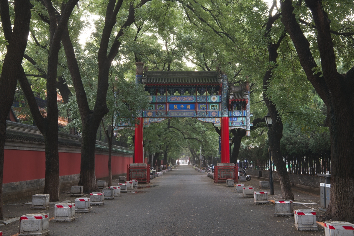 北京城市公园管理现状：优美环境与丰富活动