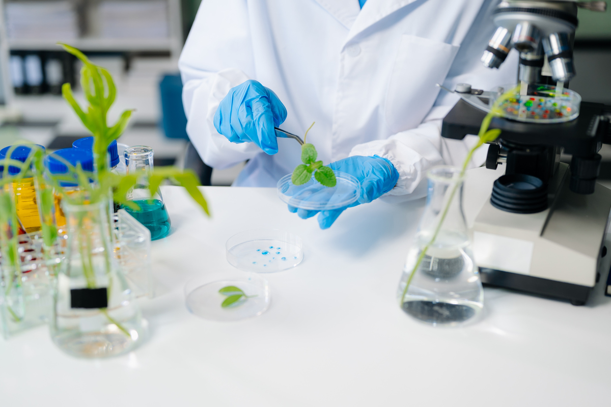 微生物技术及应用专业前景分析：就业、深造和科研机会