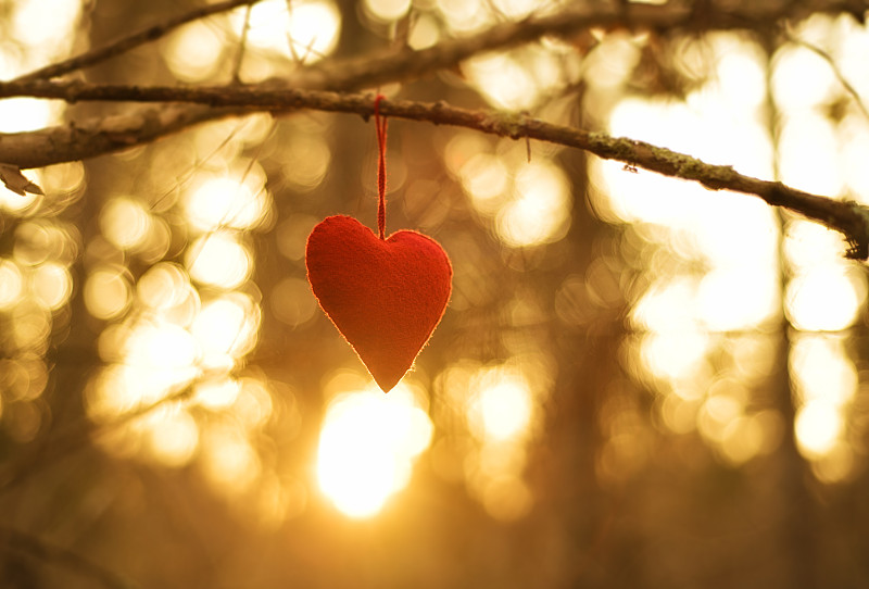 思念一个人，他能感受到吗？