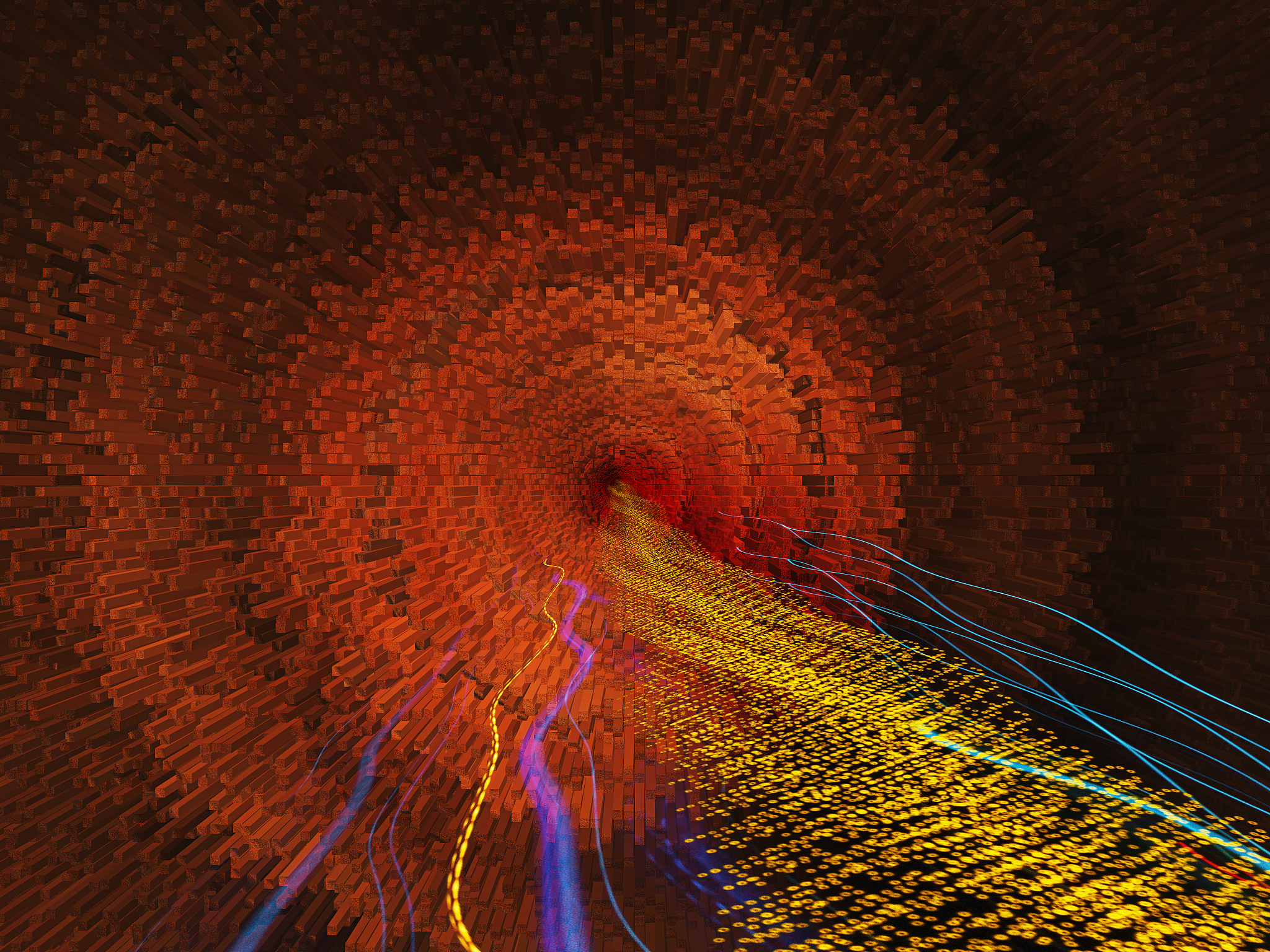 重庆城市管理职业学院大数据与财务管理专业学习内容解析