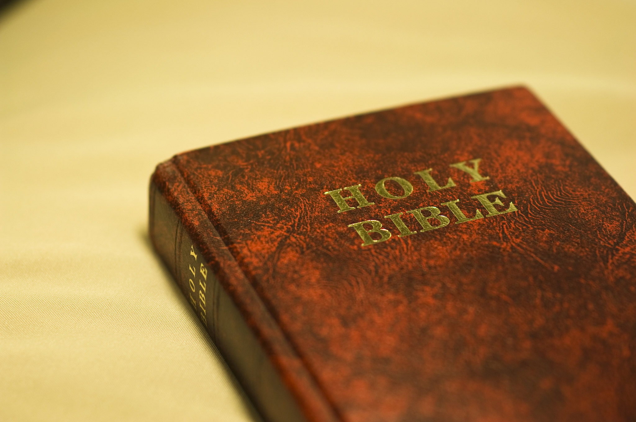 圣经一共拥有多少章节