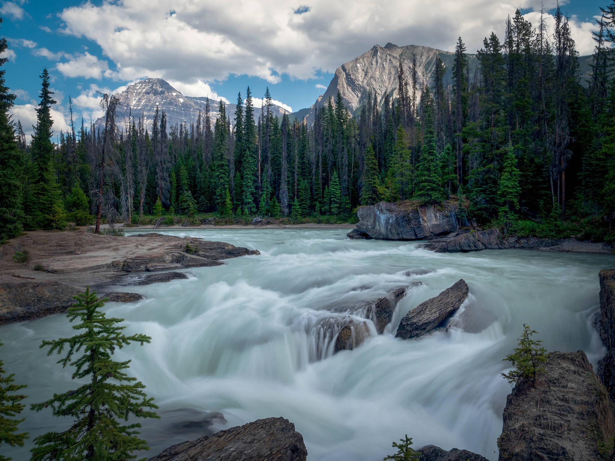 重庆财政学校旅游服务与管理专业怎么样？值得报考吗？