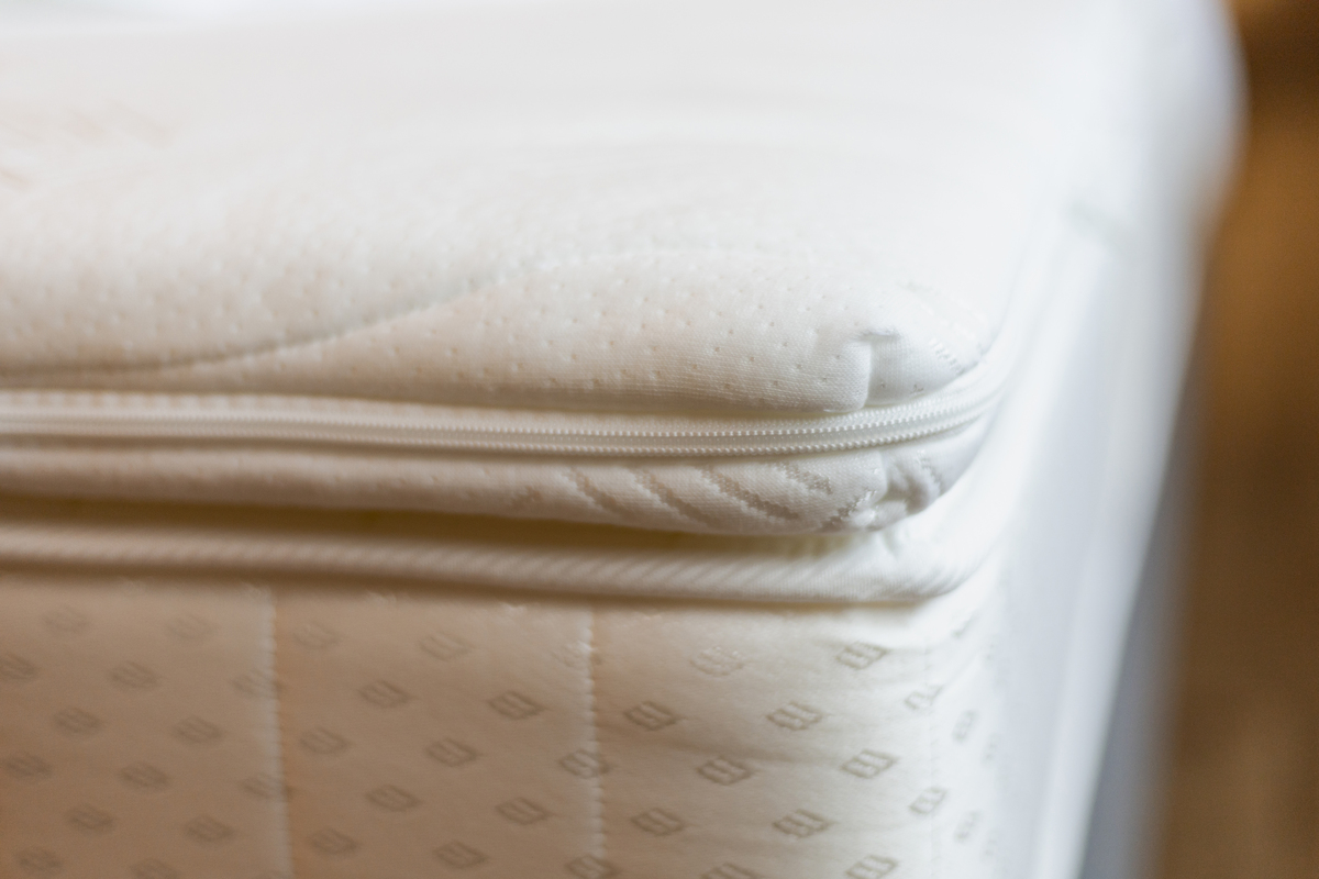 棉絮：用途广泛，舒适保暖的天然纤维