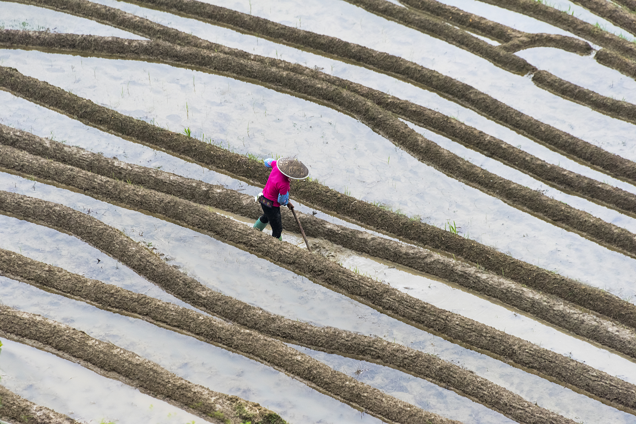 广西经贸职业技术学院工商企业管理专业专业课程设置有哪些