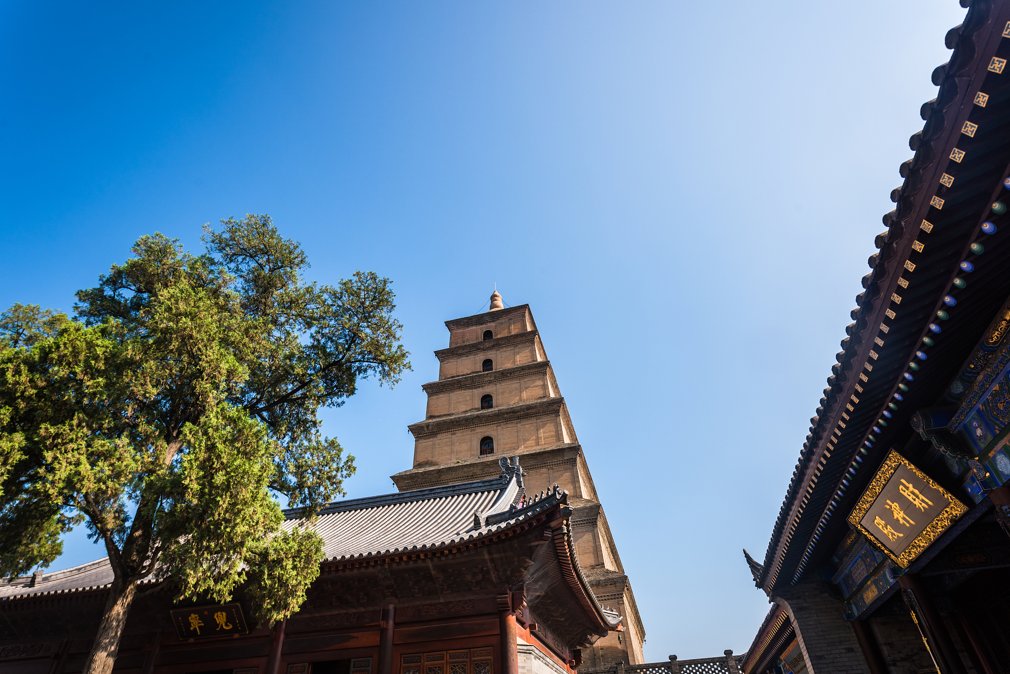 重庆三峡职业学院旅游管理专业可选择哪些就业方向
