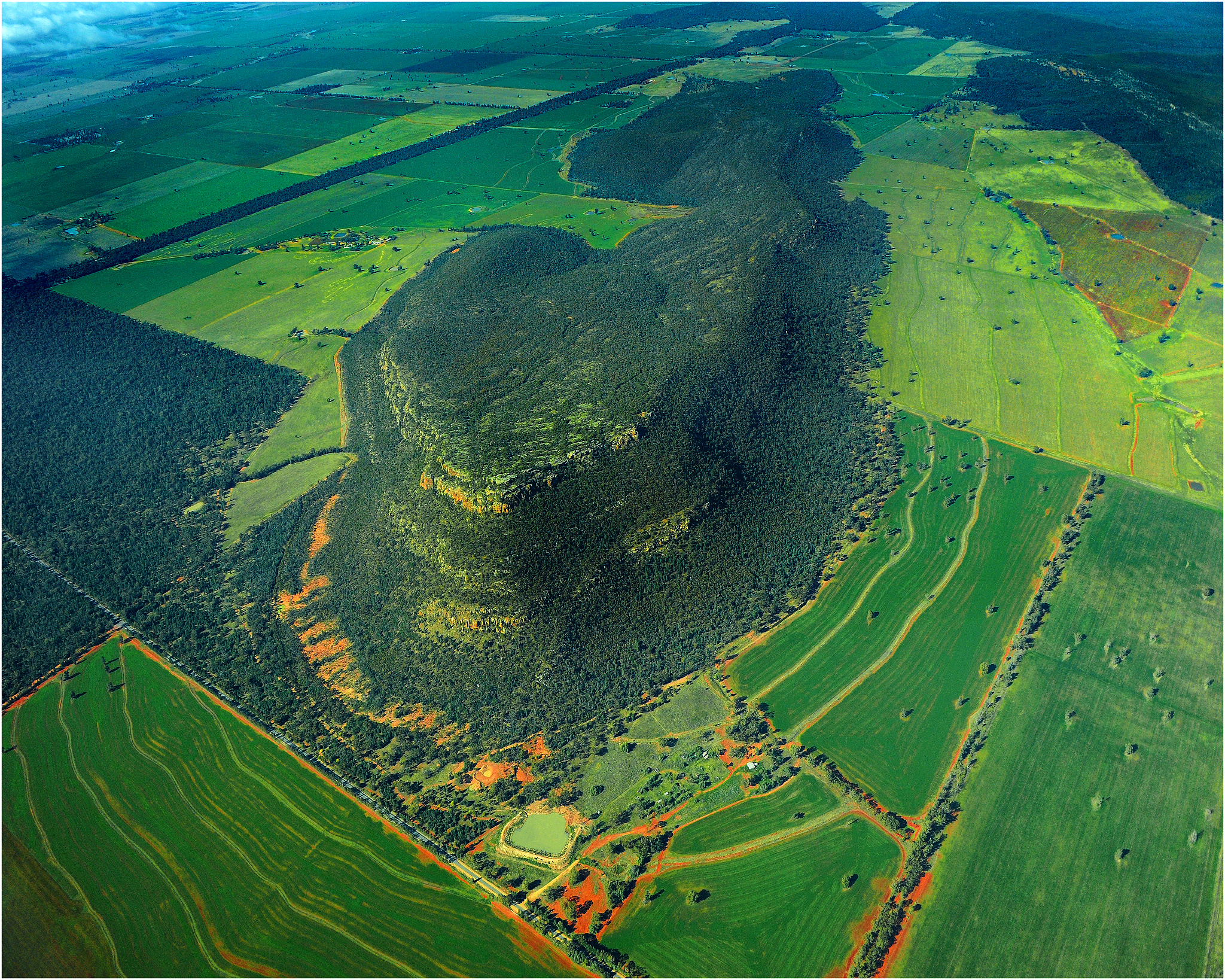 中国林业的意义价值：生态保护、资源开发和经济发展