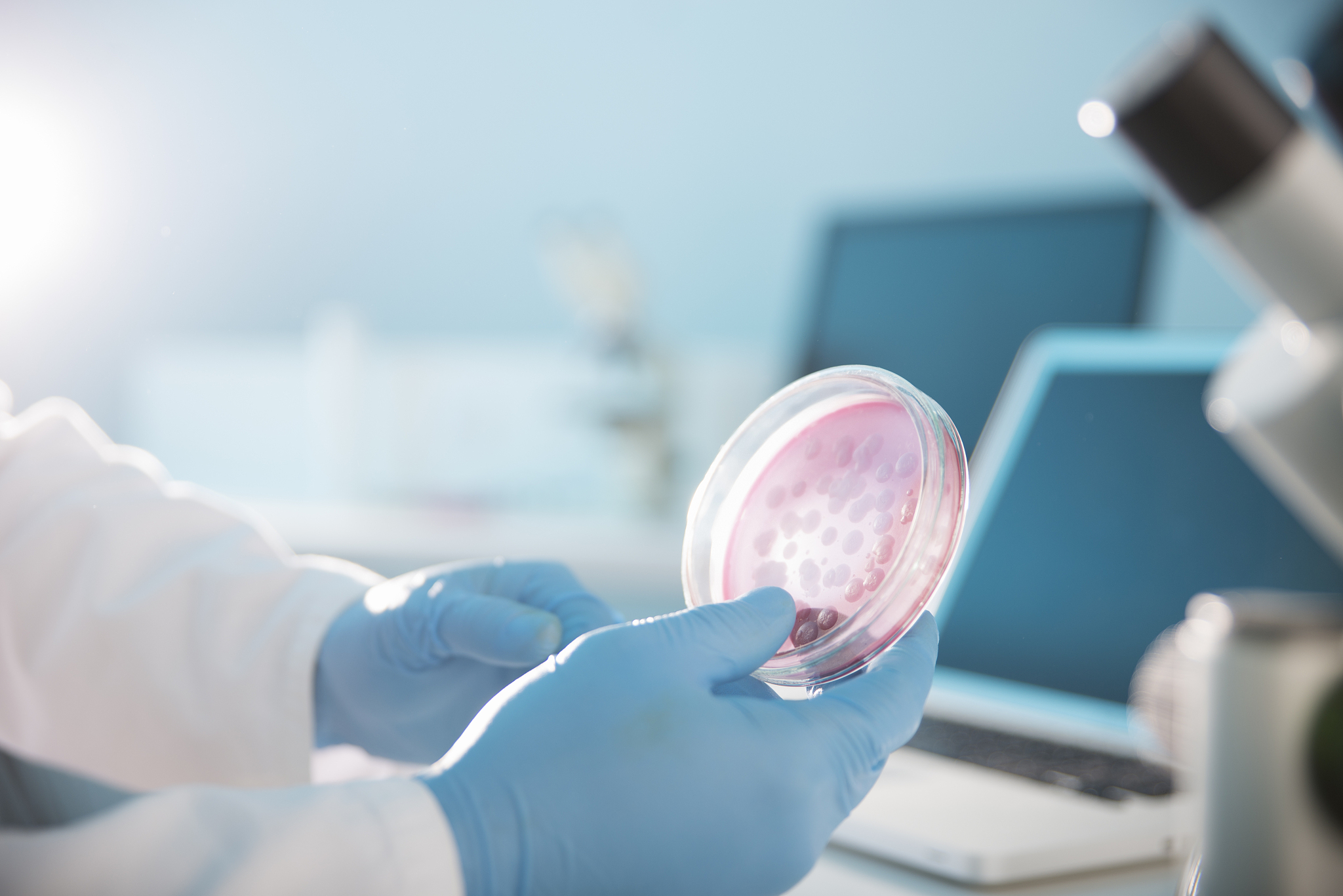 microbiological culture
