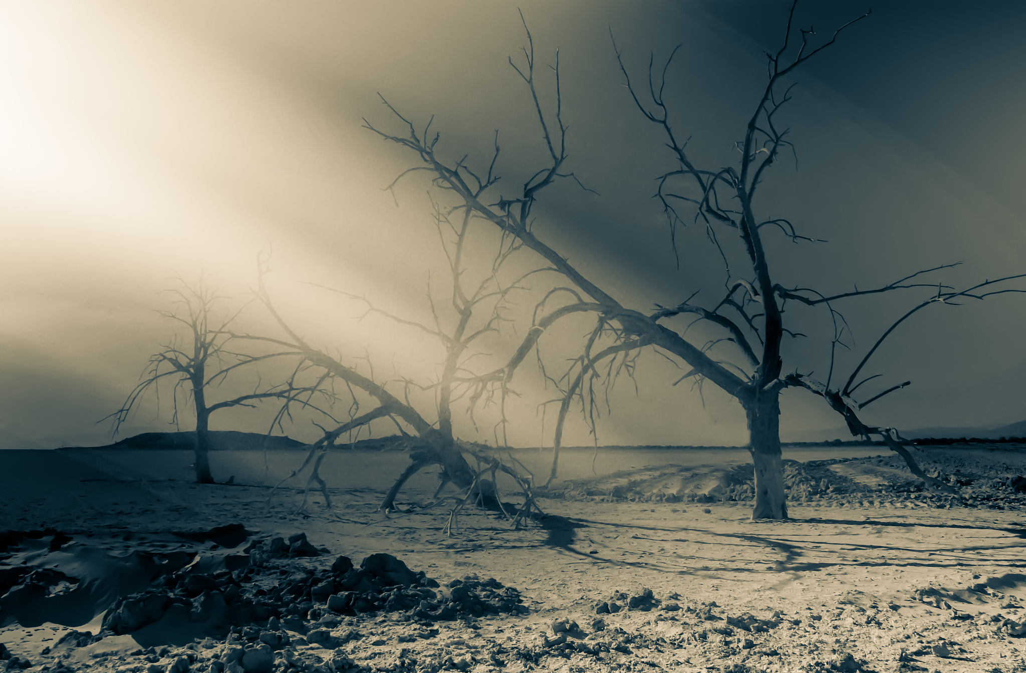 选择重庆职业学校植物保护专业怎么样？