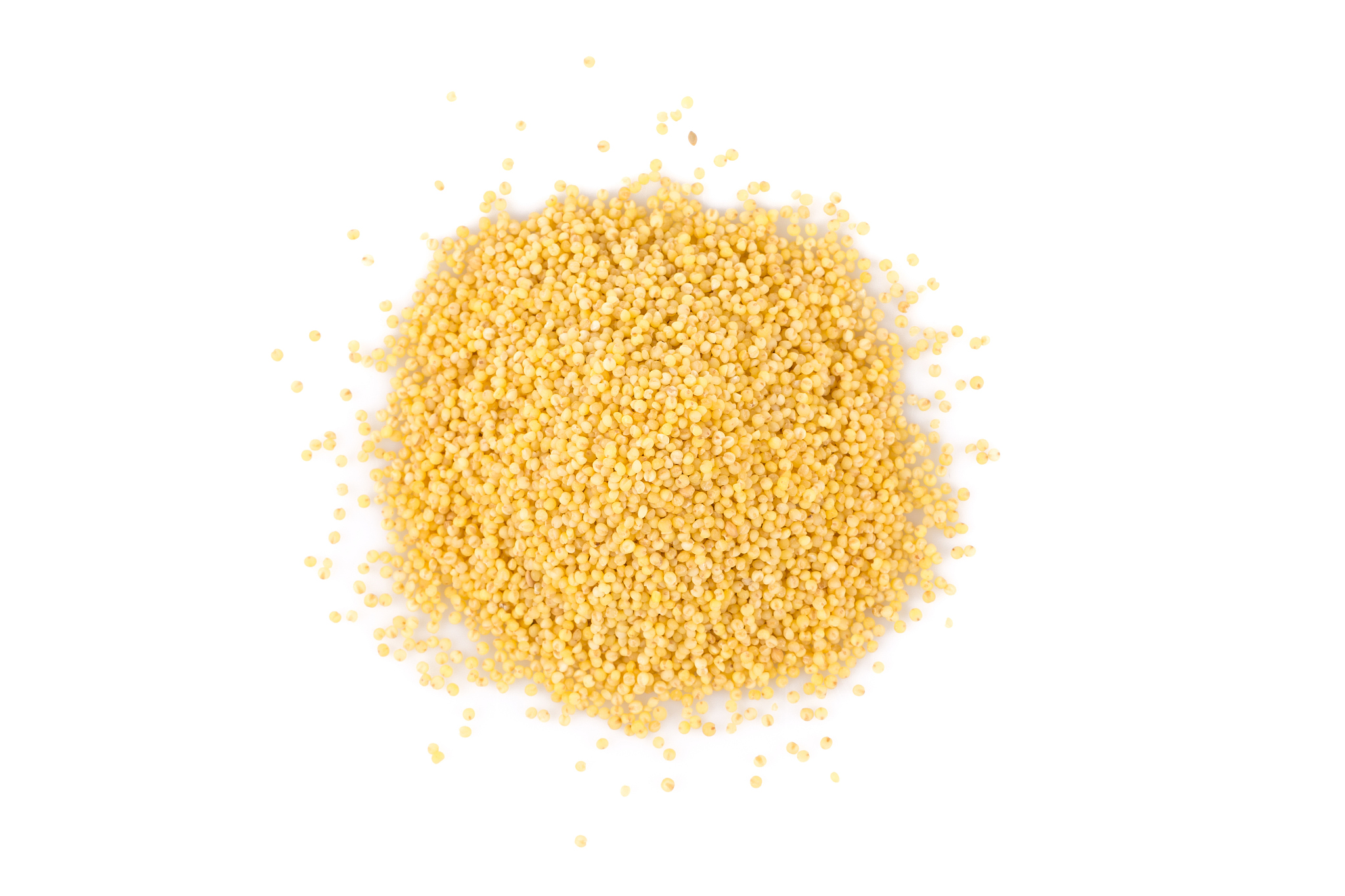 dry millet seeds