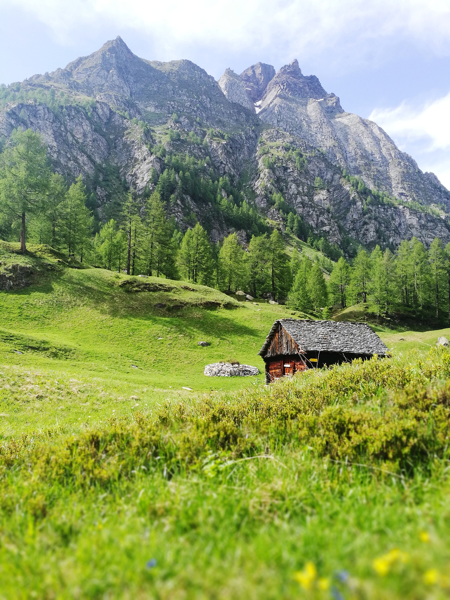 红河州农业学校专业设置及特色：培养农业人才，助力乡村振兴