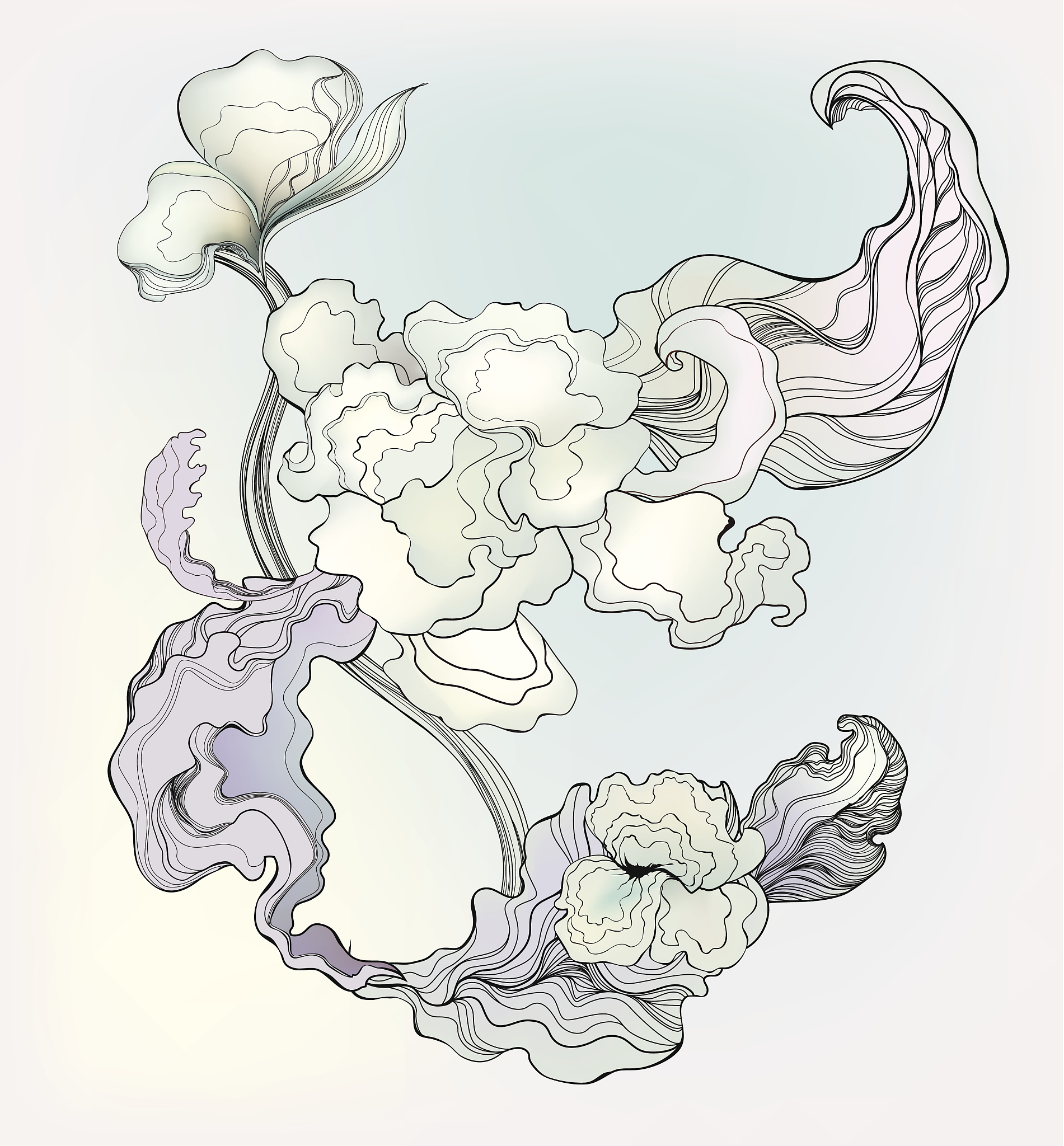 floral flower