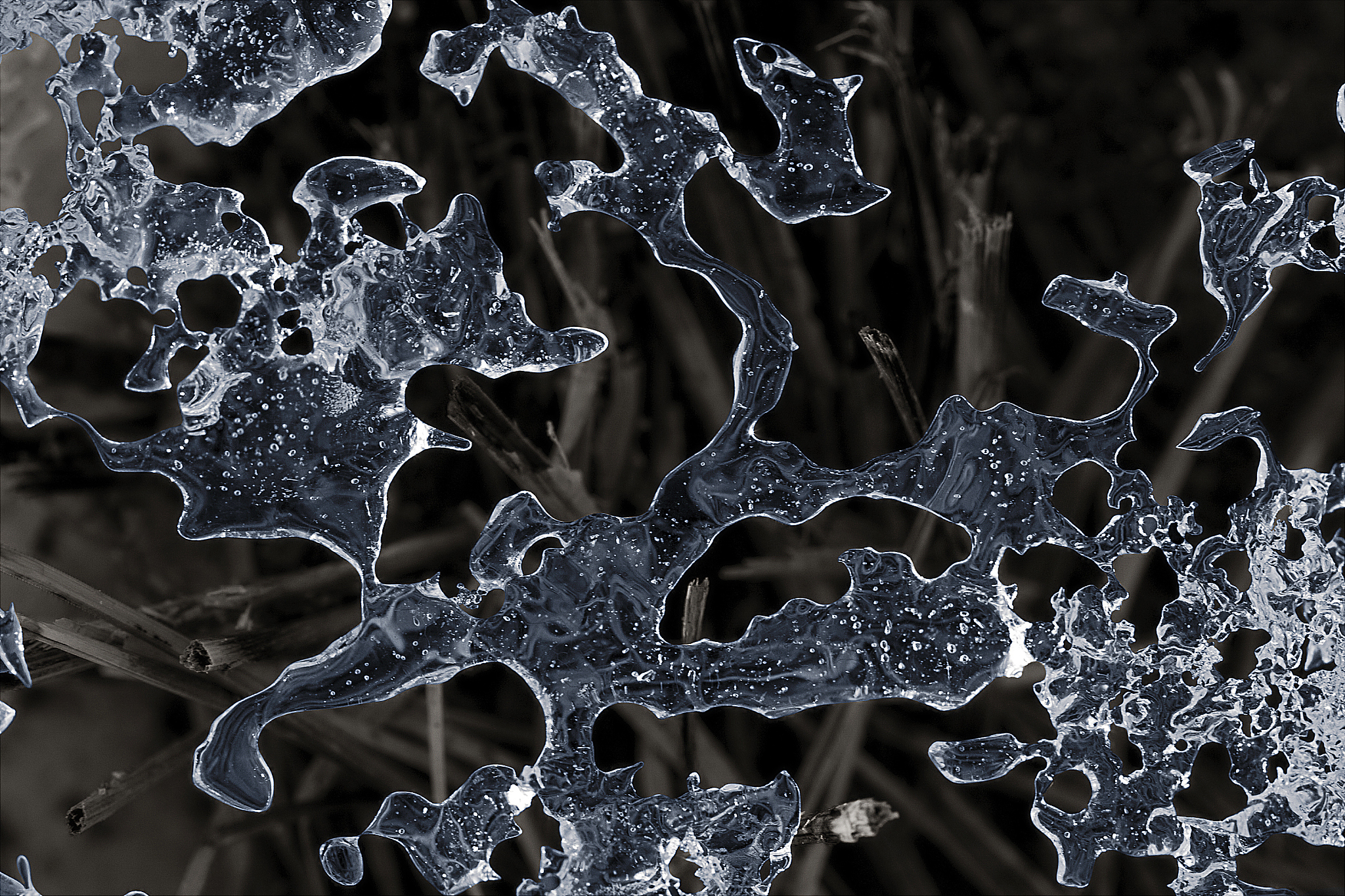 树枝晶：结构特点与应用