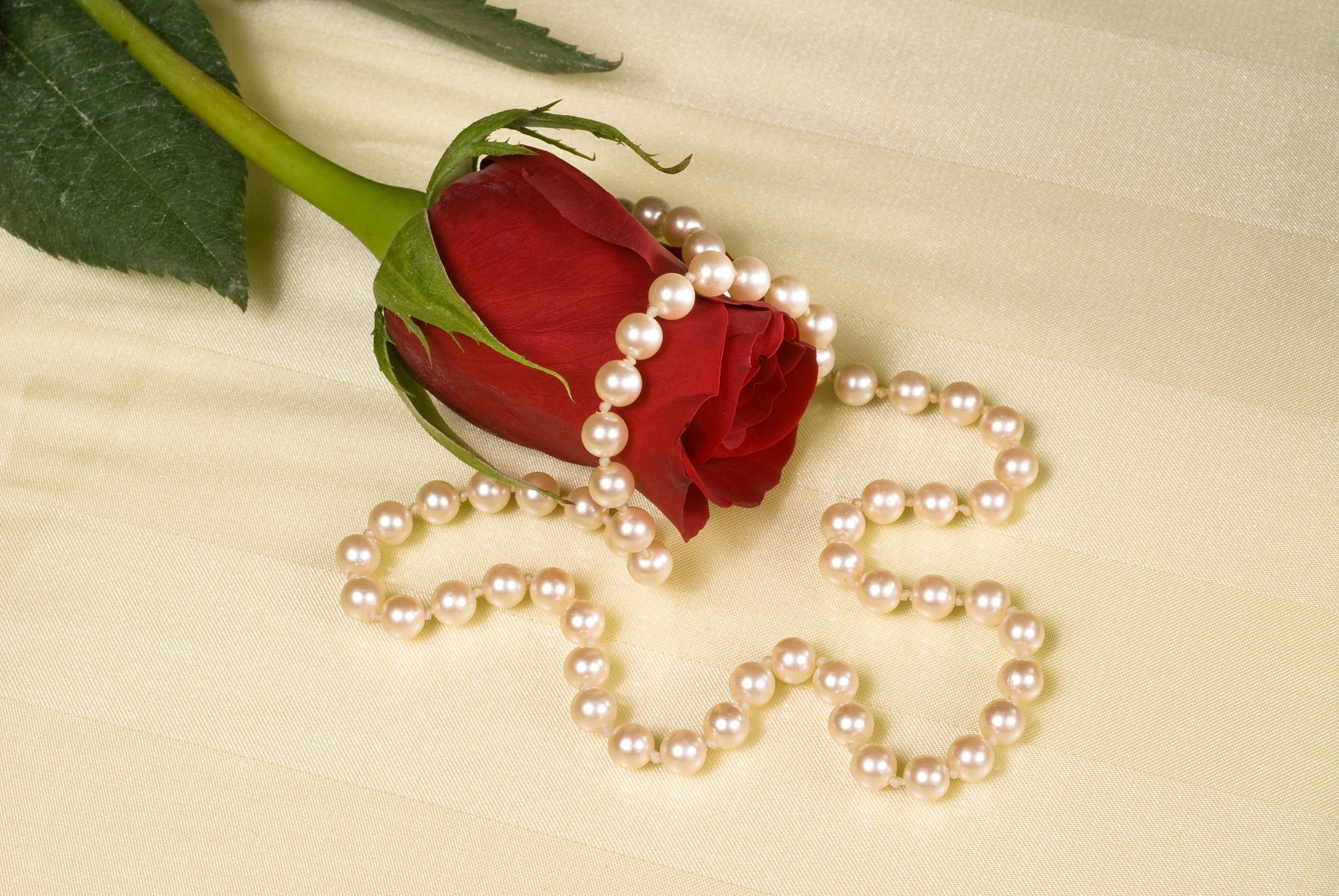 红玫瑰胸针突出卖点1红玫瑰造型金黄的根枝奢华优雅搭配珍珠创意设计感十足。2精美胸针精工制作可搭配各种风格的衣服。为上面写一段销售话术