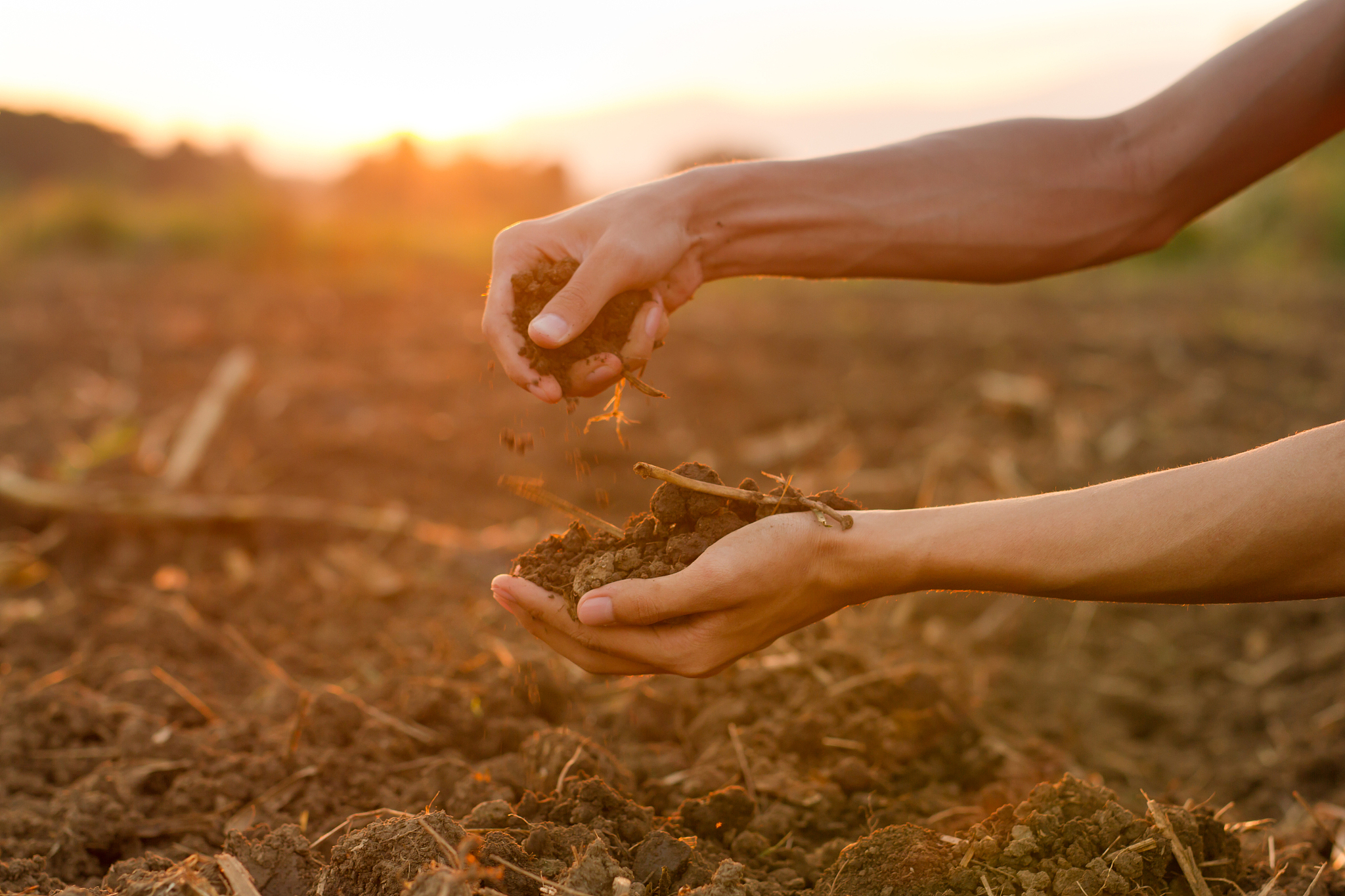 深圳职业技术学院生物技术及应用专业都学些什么