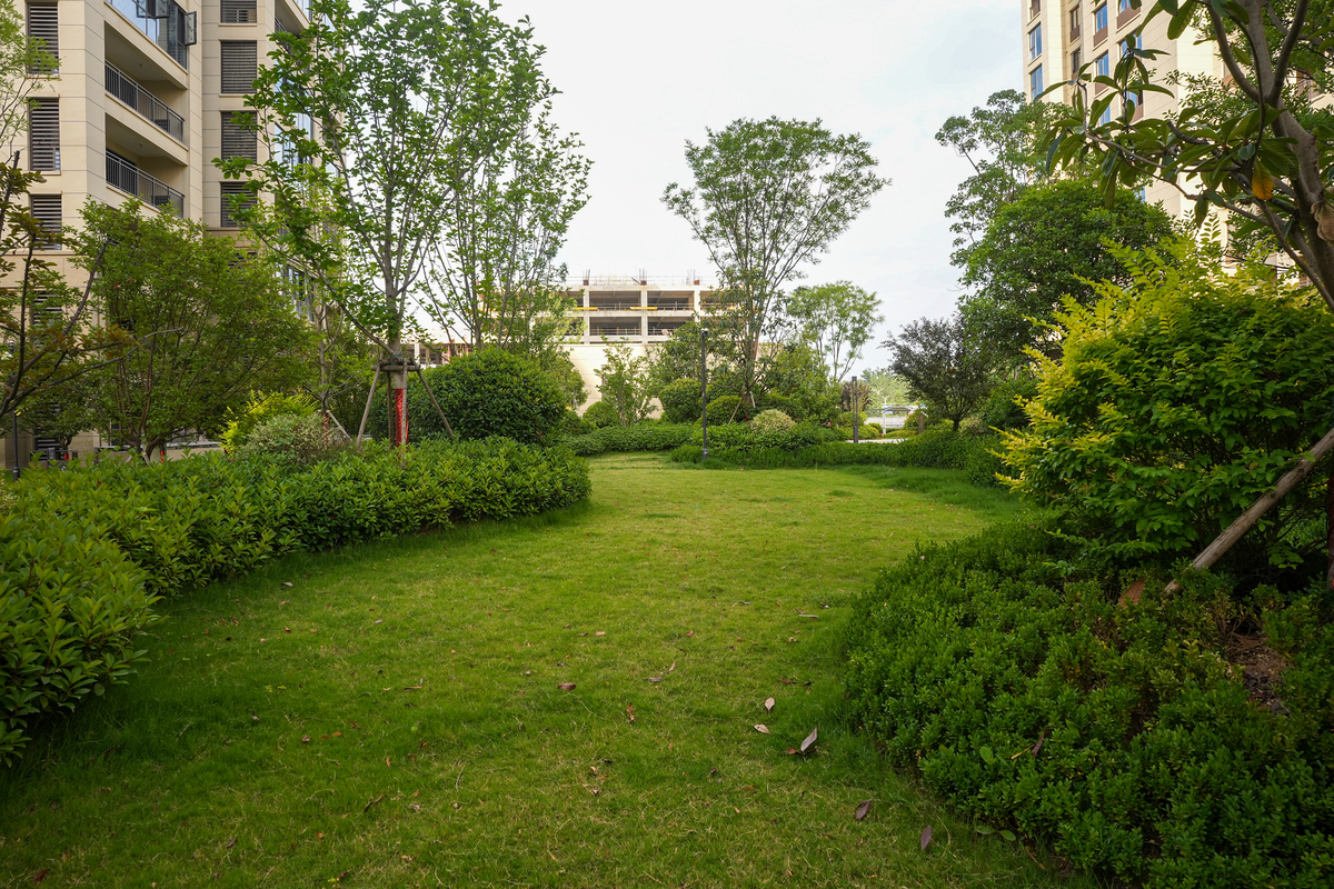 郁郁葱葱的住宅景观中蜿蜒的花园小径 - 自然宁静概念