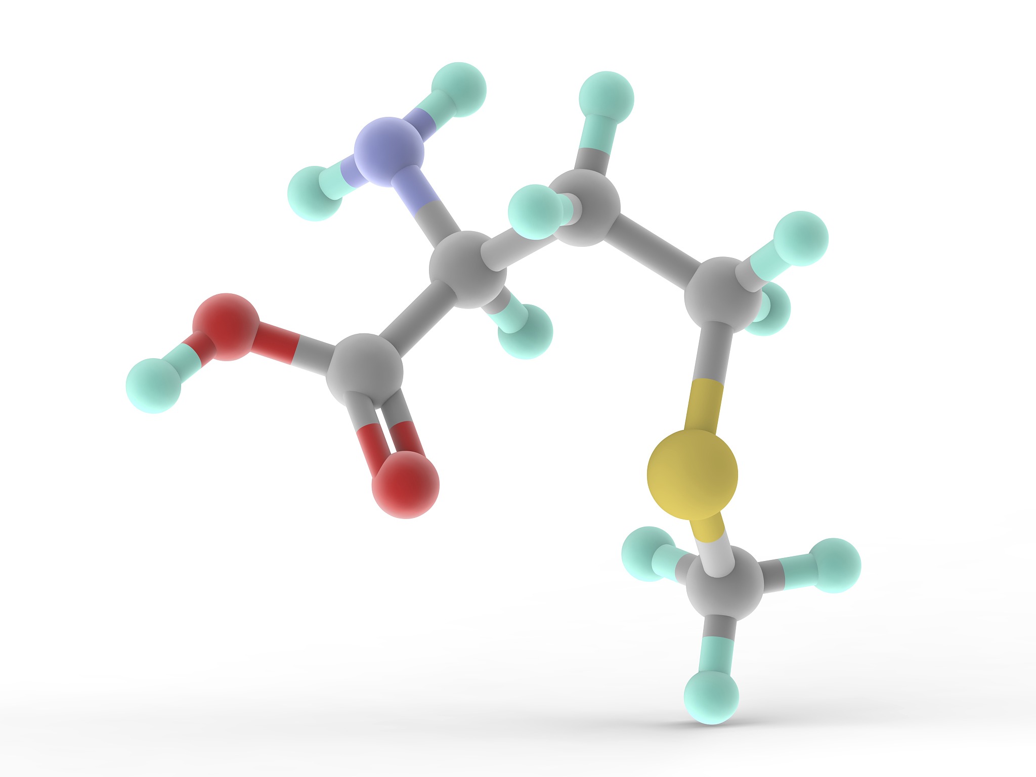 methionine molecule
