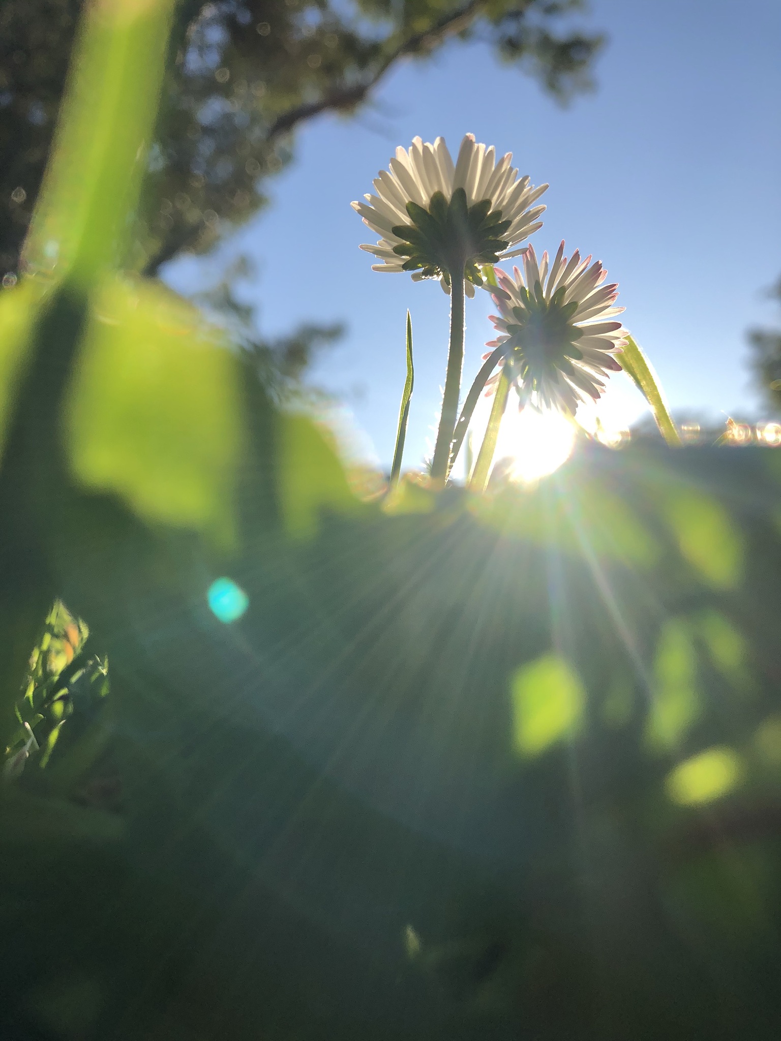 以正能量的力量化解焦虑让自己的生活更加平静和安宁为题写一篇1200字文章