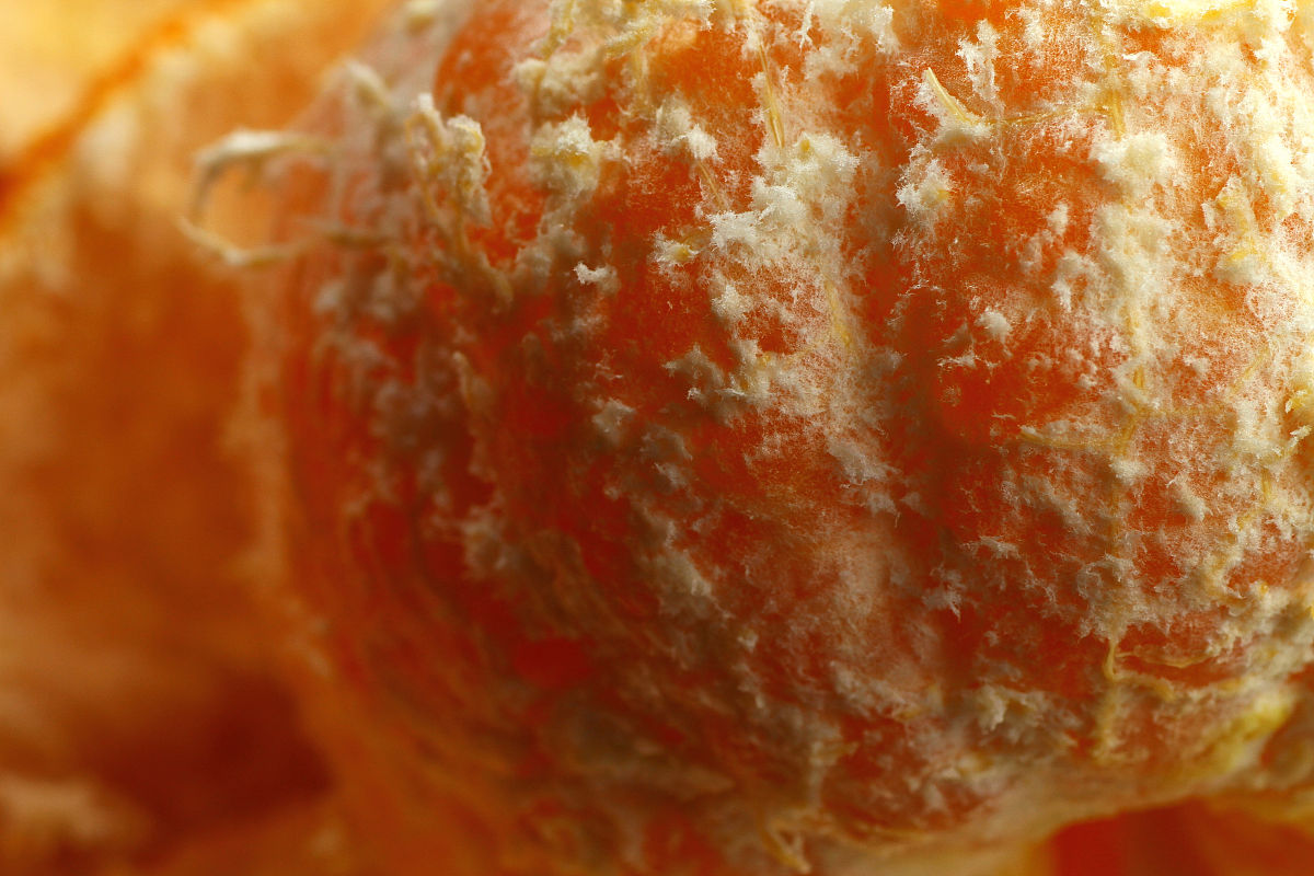 联想xlsx未启用宏怎么解决